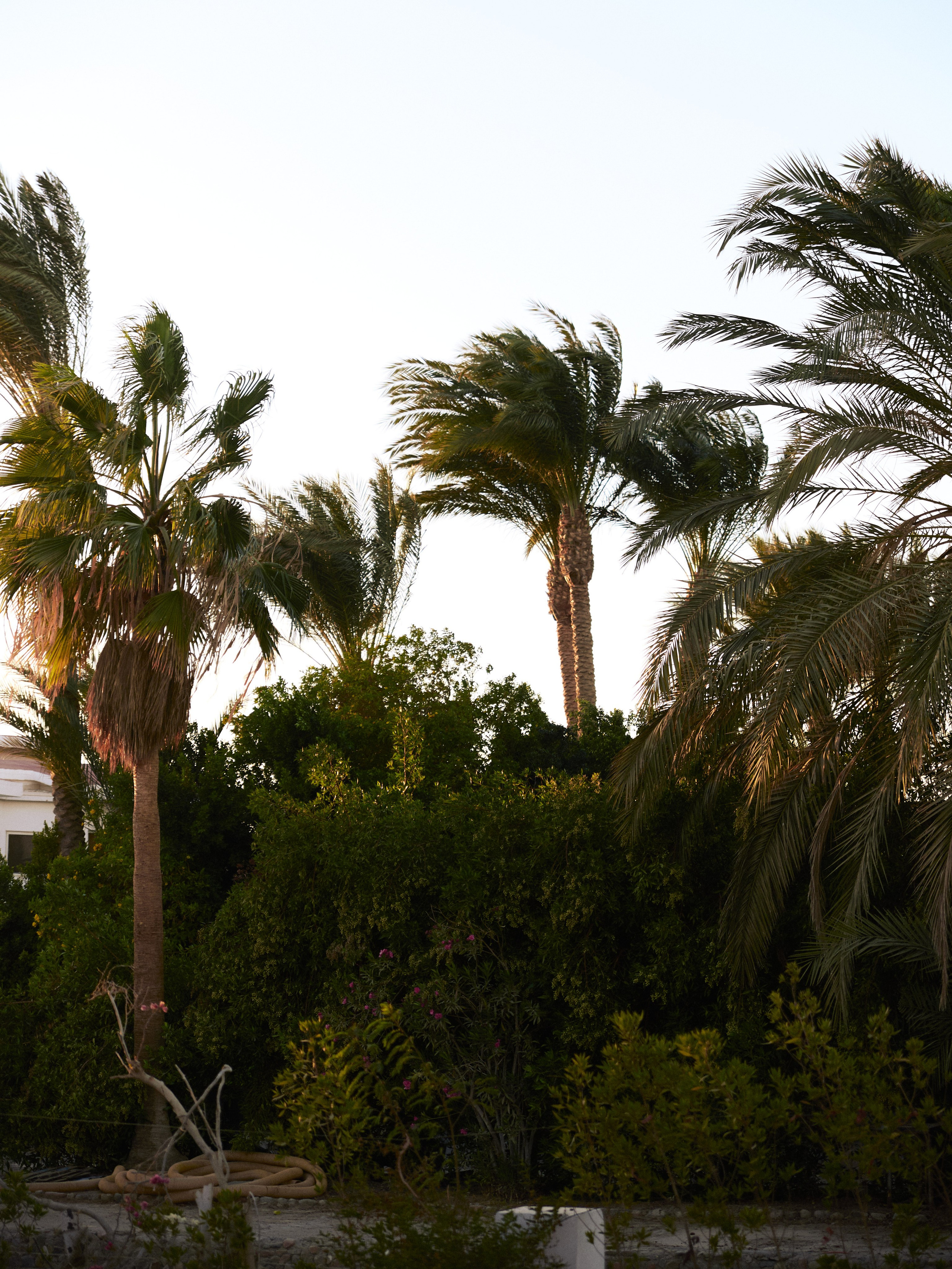 Природа сквозь. Jorgis Talè — photographer, kind person, teacher of arts and other mag