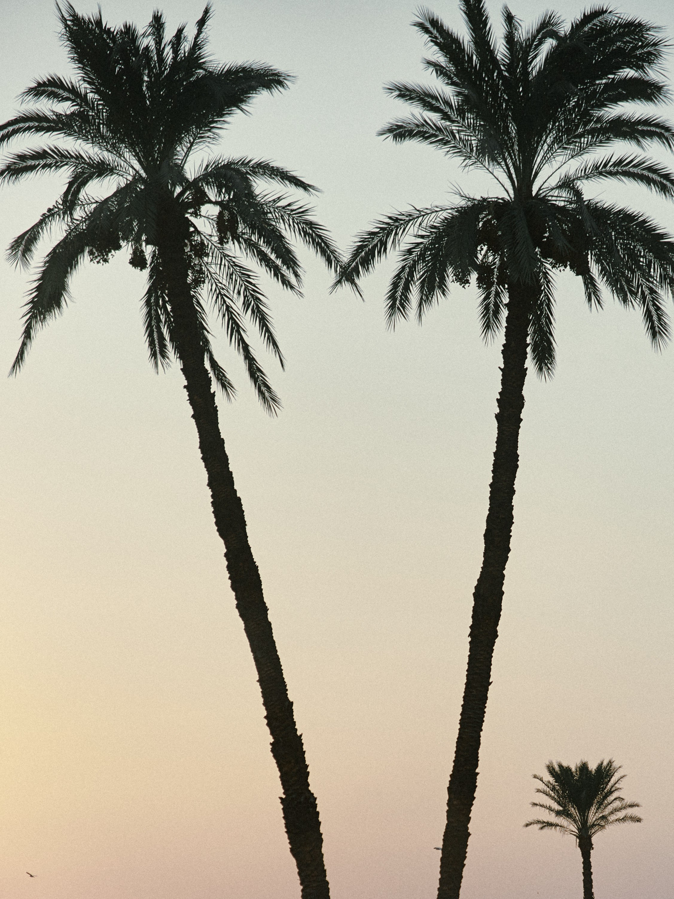 Природа. Jorgis Talè — photographer, kind person, teacher of arts and other mag