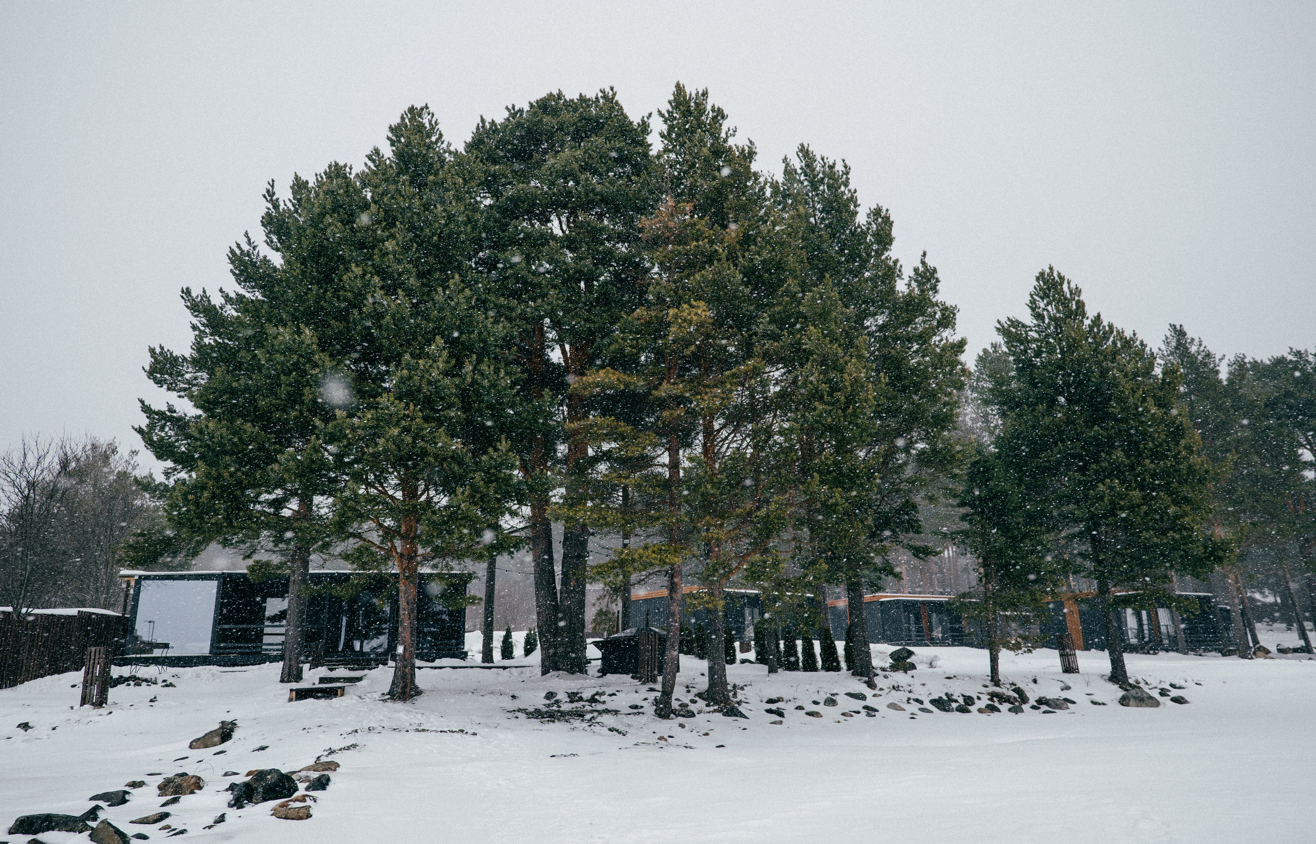 TALEO. Создание контента | Фото | Видеосъемка | Александр Ярков