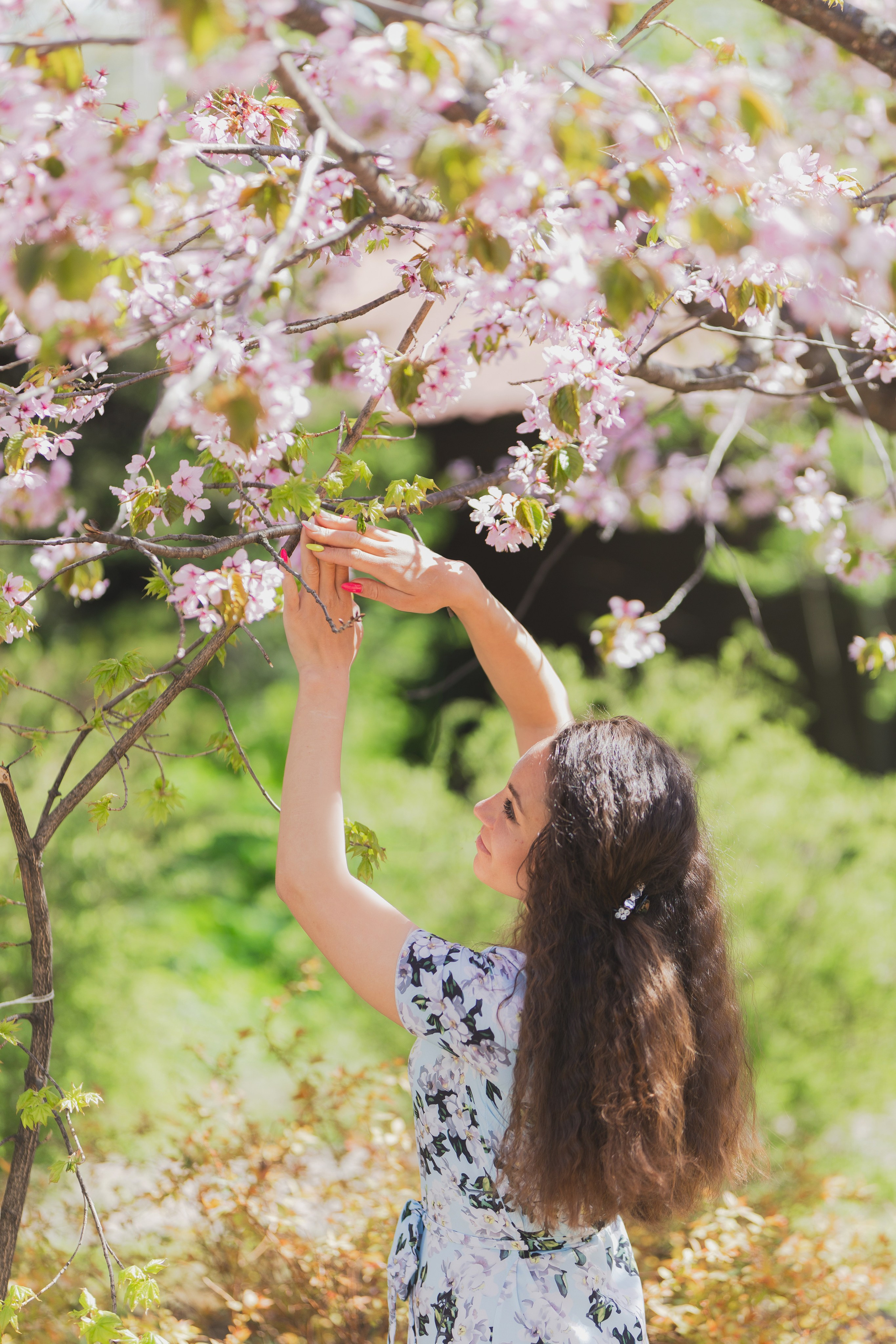 Настя и сакура. Фотограф Южно-Сахалинск