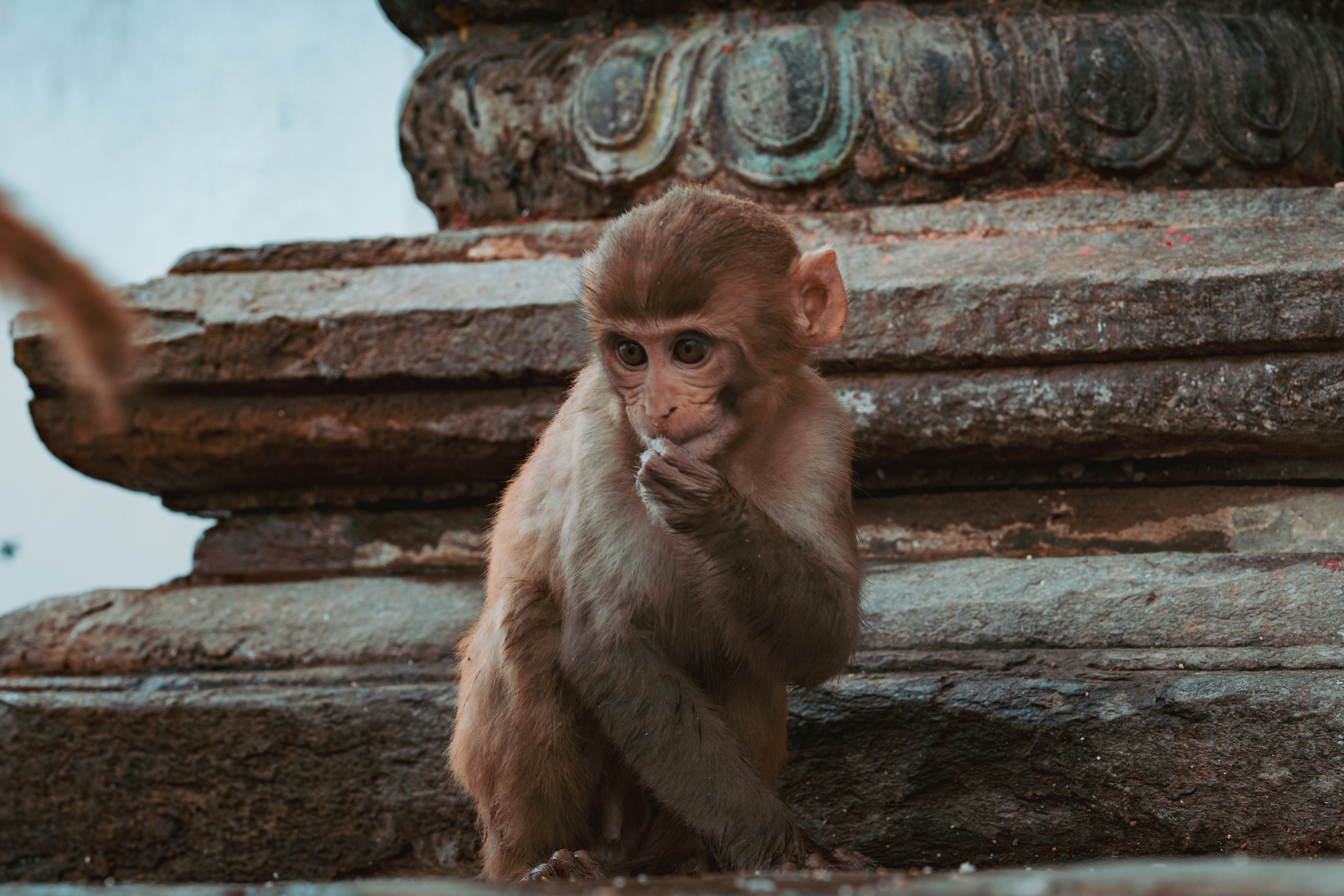 Nepal. Dmitry Ippolitov