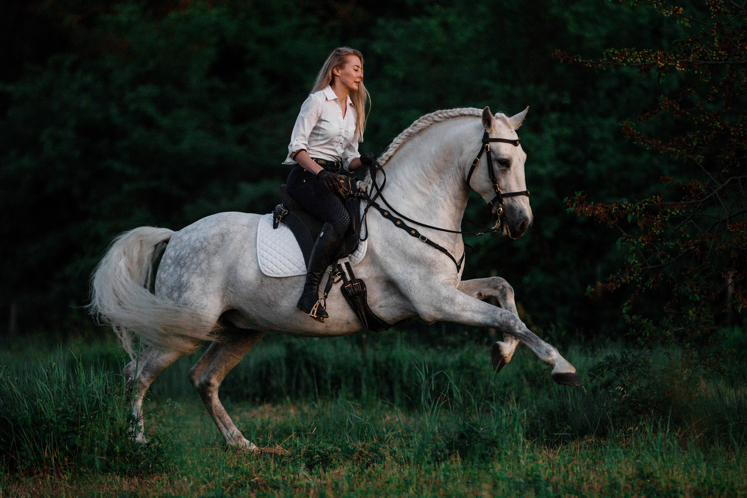 Натали и Цезарь. Фотограф-анималист Ксендзова Кристина