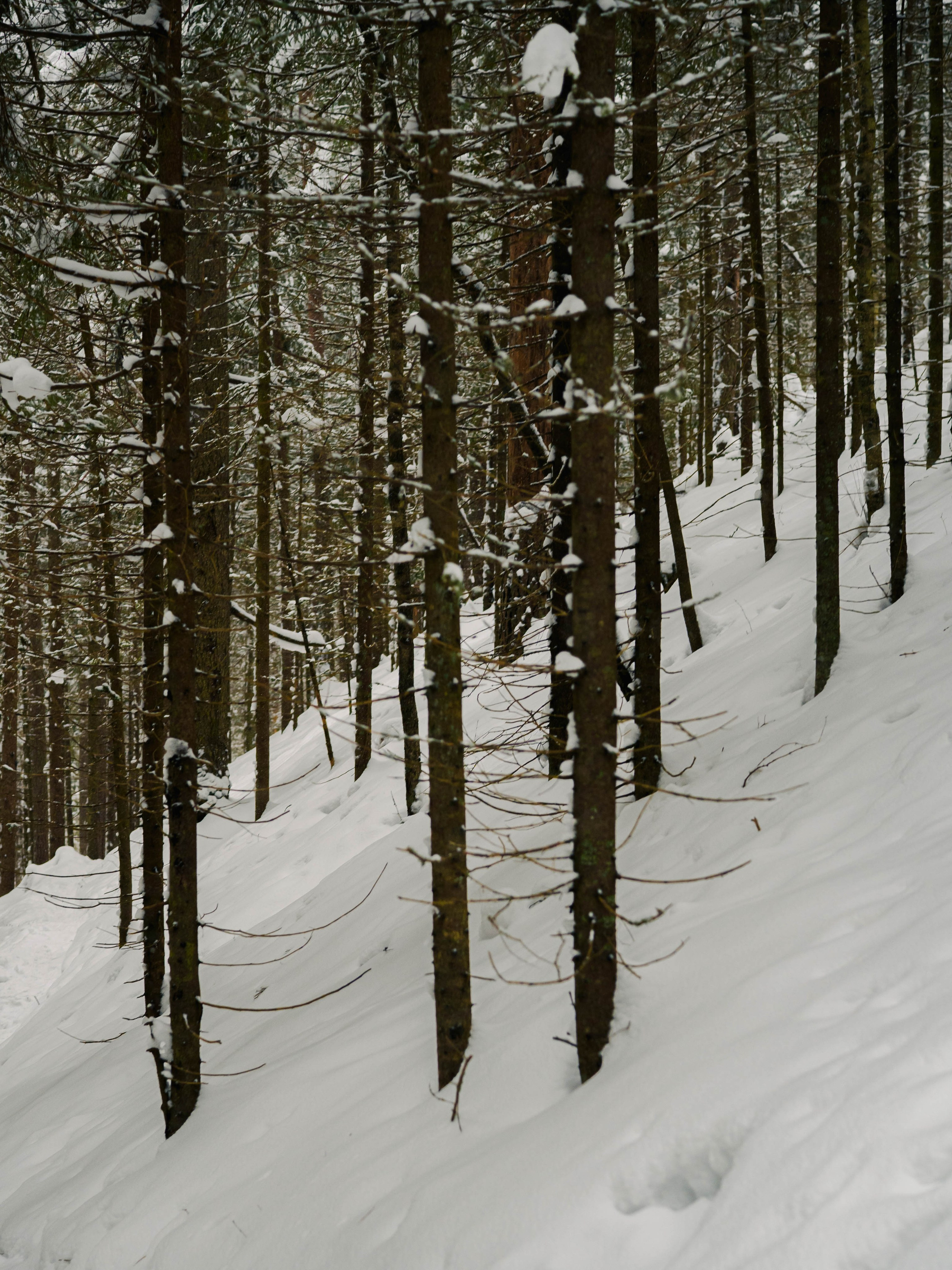 Skuratov Trail Run. Портретный и репортажный фотограф в Санкт-Петербурге Смоляков Максим