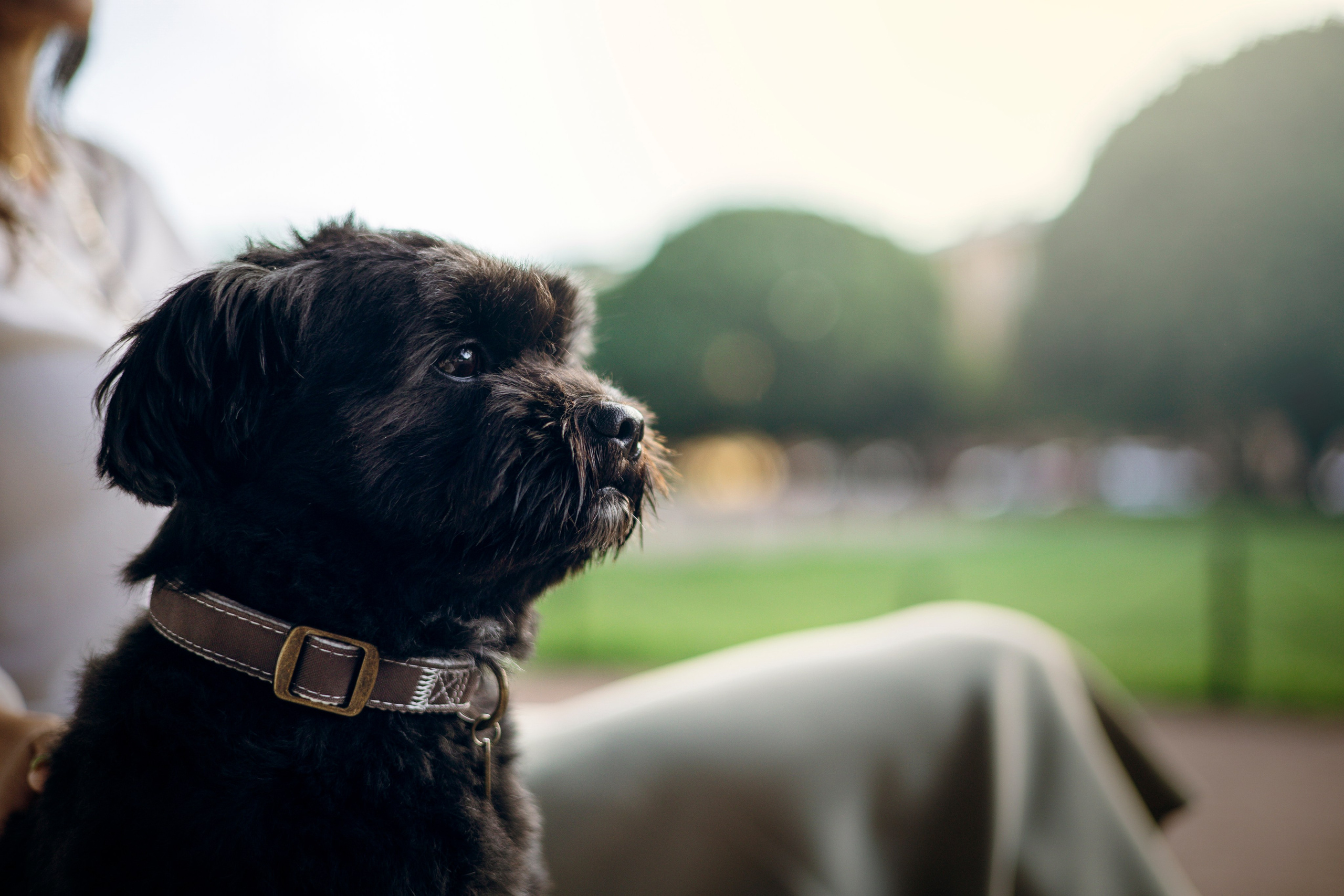 Даша и Борис. Фотограф — Анималист | Санкт-Петербург