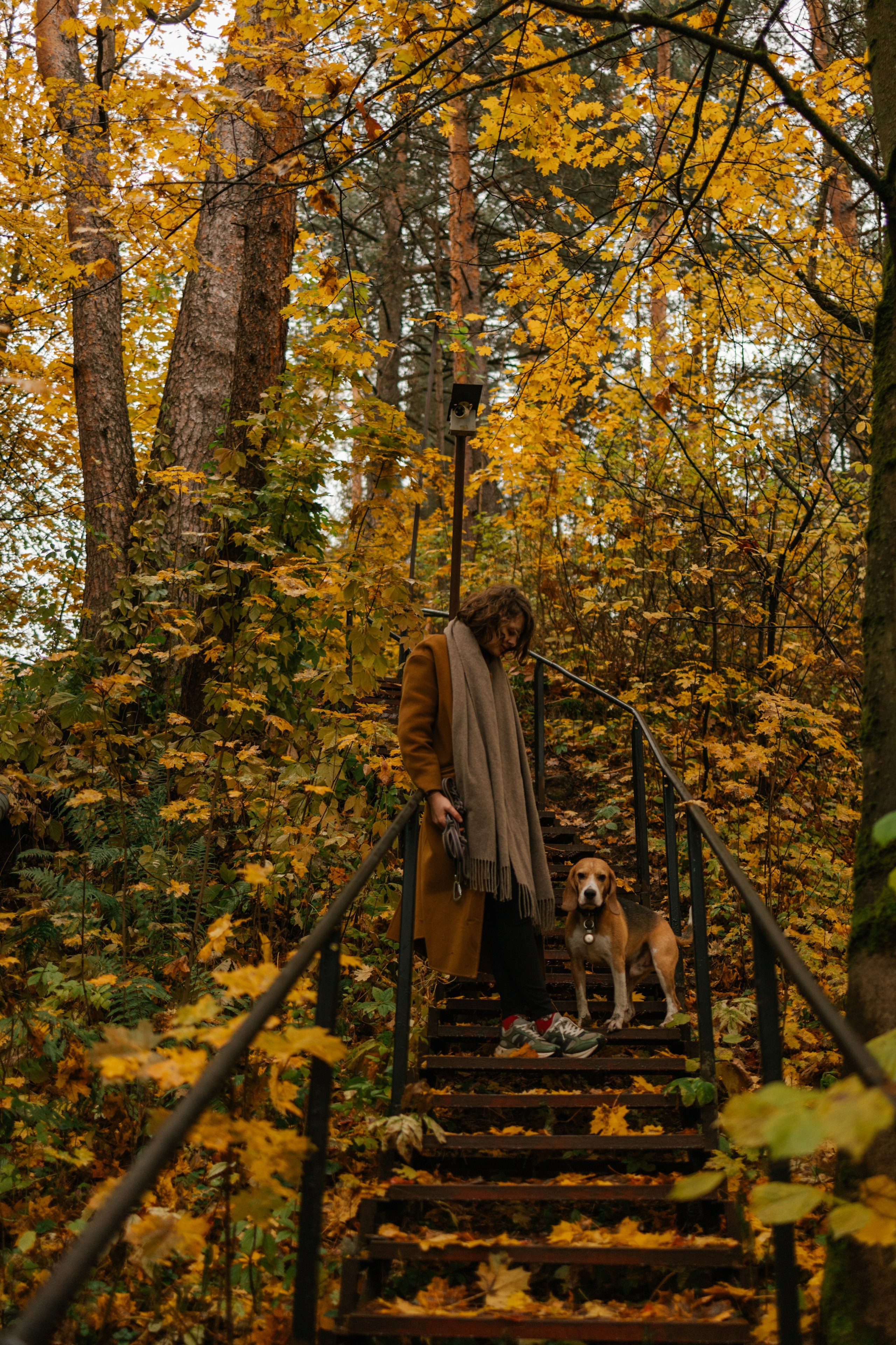 Лена и Тайгер. Фотограф — Анималист | Санкт-Петербург