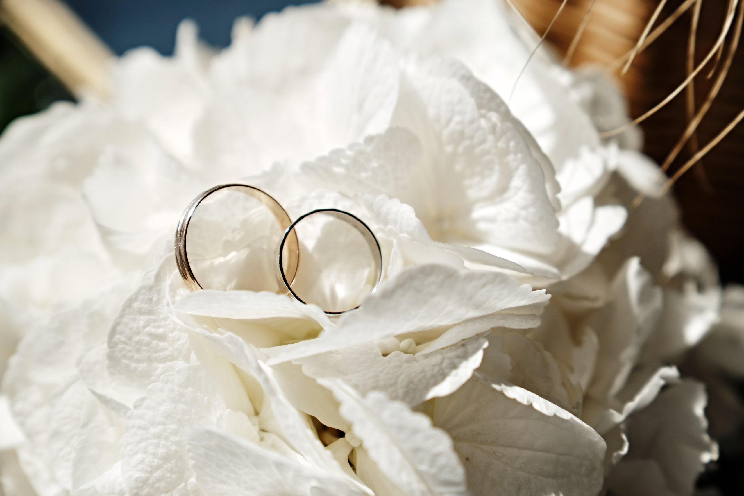 Снежана и Алексей