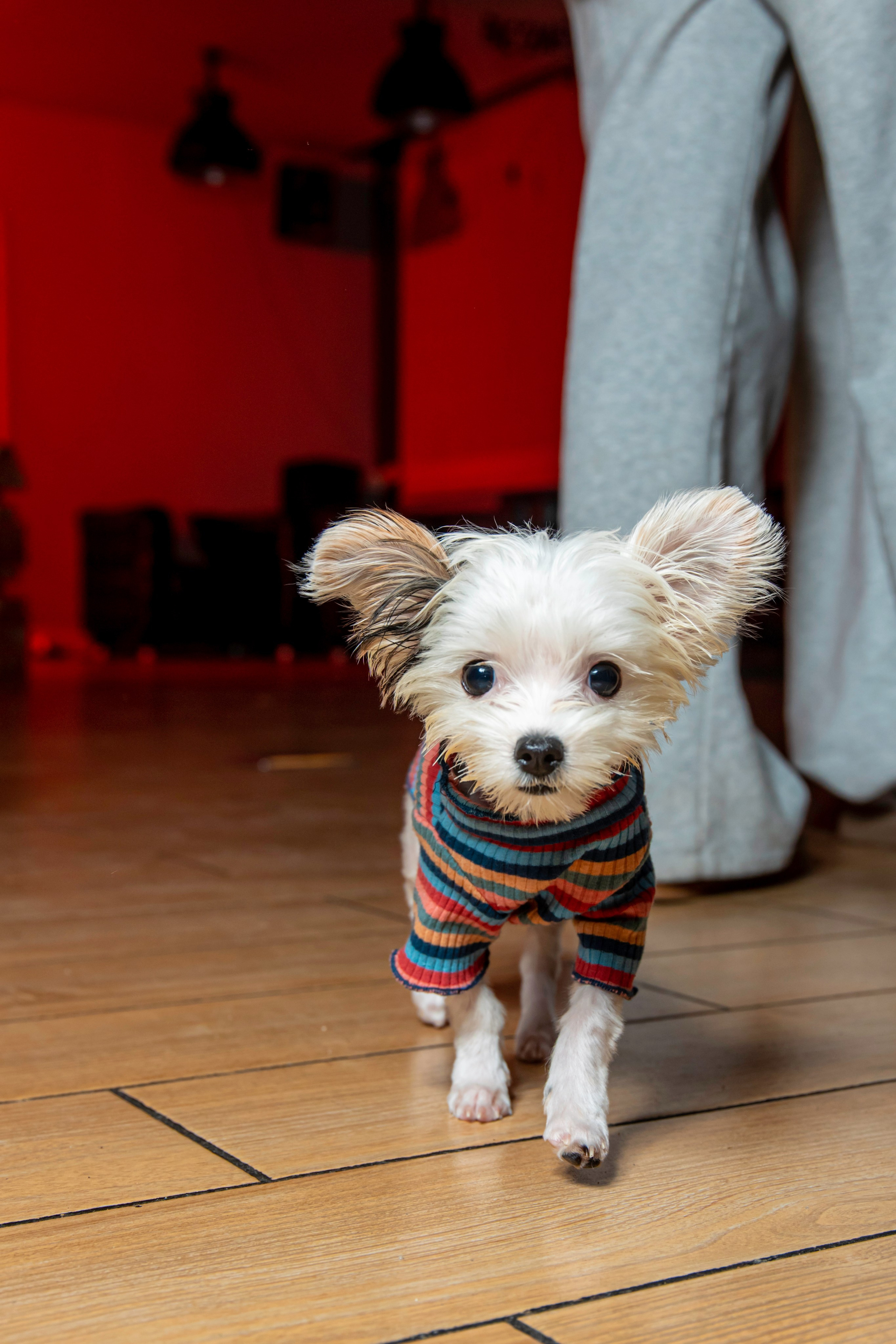 День Рождения 12 лет в кулинарной студии. Фотограф на праздник, корпоратив, День Рождения и Юбилей в г. Санкт-Петербурге Алексей Анкушев