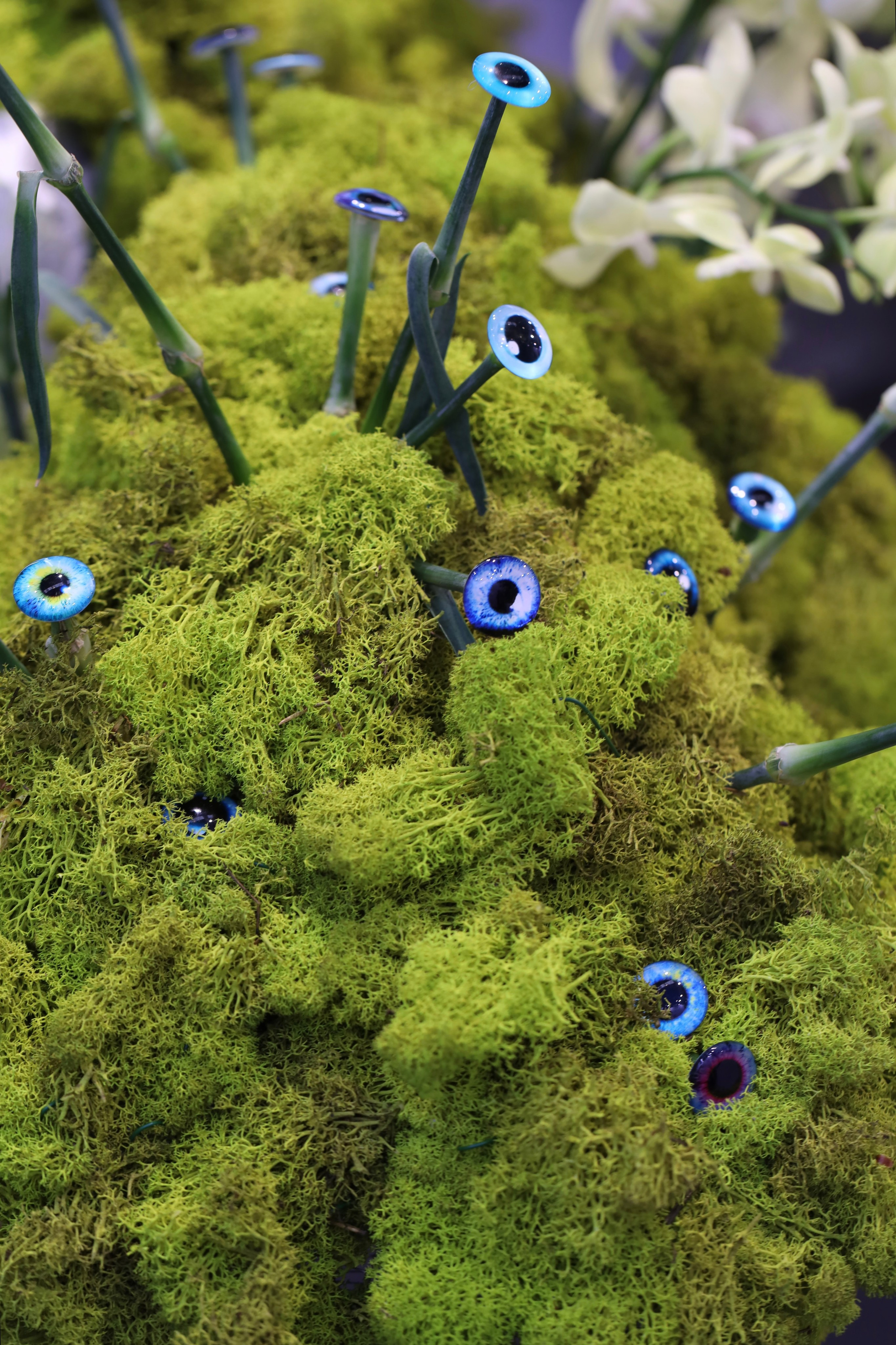 Цветы-Экспо 2023. Фотосессии и репортаж — Фотограф в Москве — Рина Серёгина