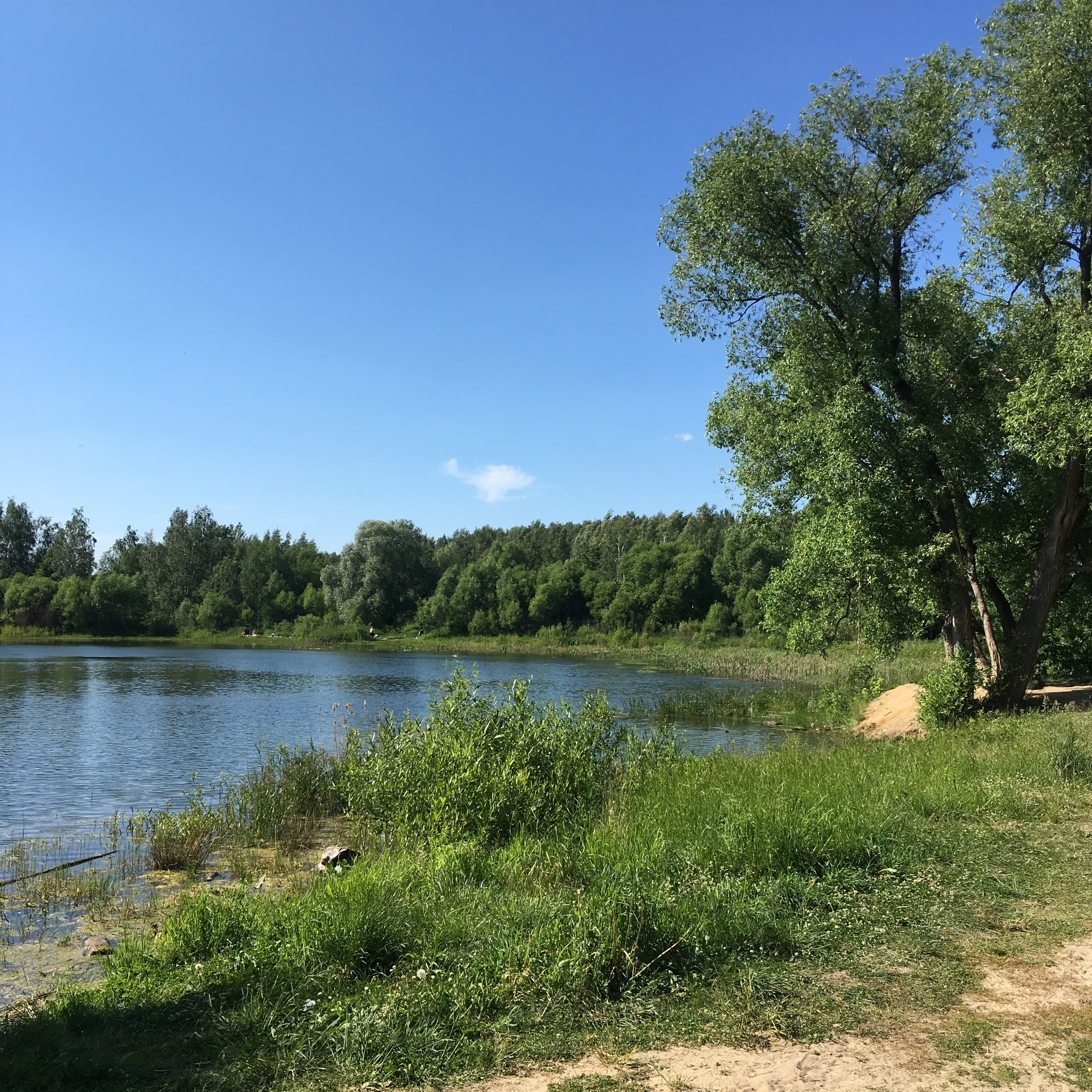 Львовская -18