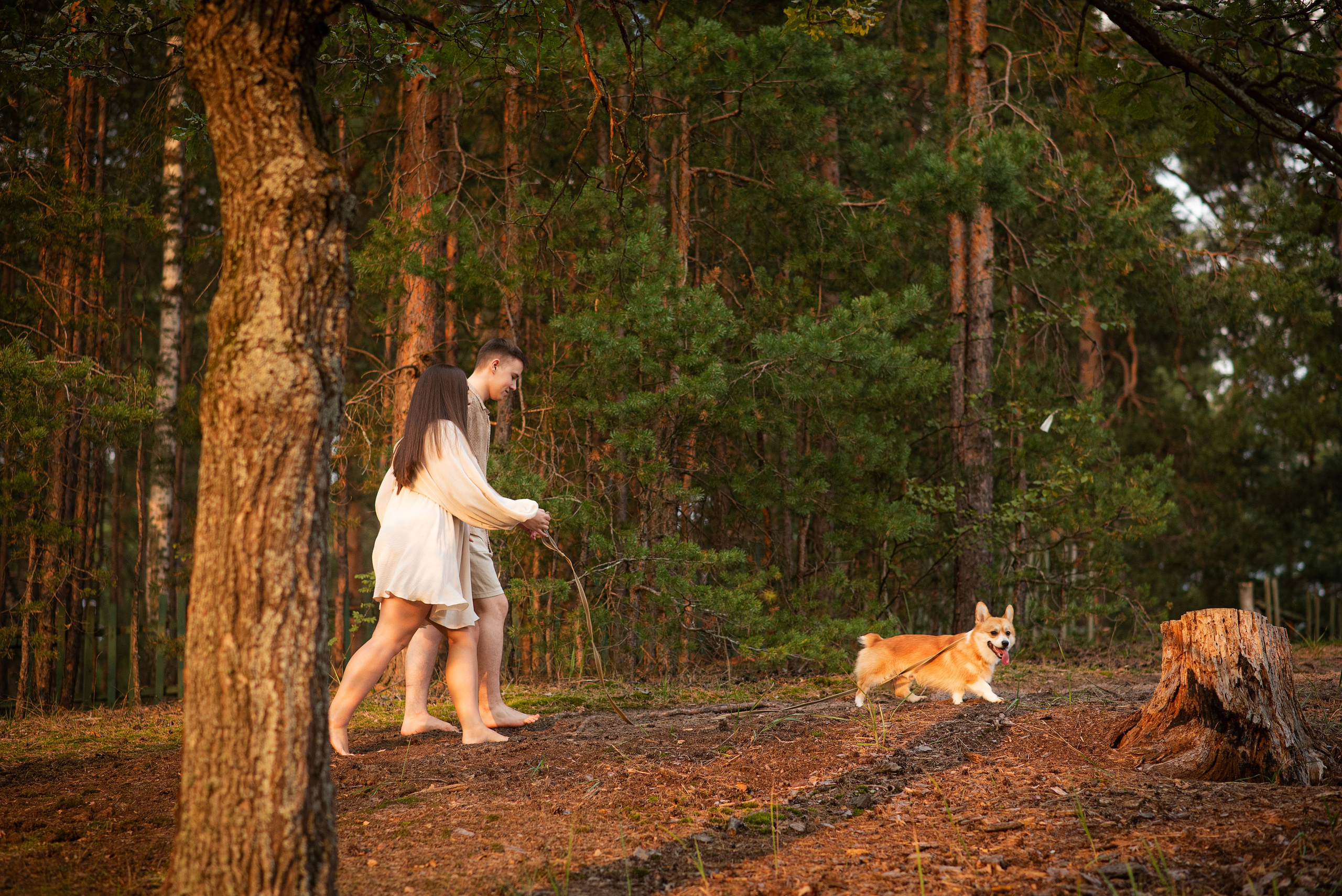Саша, Оксана и Барни — 25.08.2024. Фотограф — Анималист | Анна Абрамова