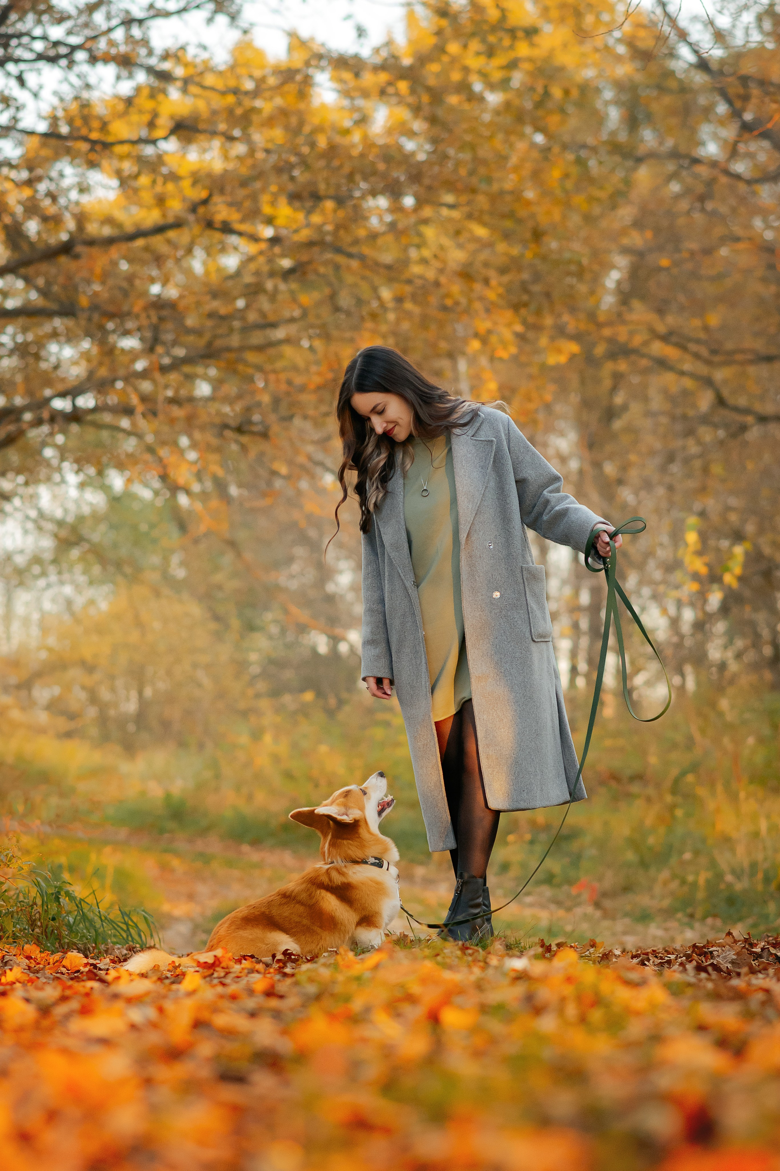 Максим, Надя, Рой и Шелби — 13.10.2024. Фотограф — Анималист | Анна Абрамова