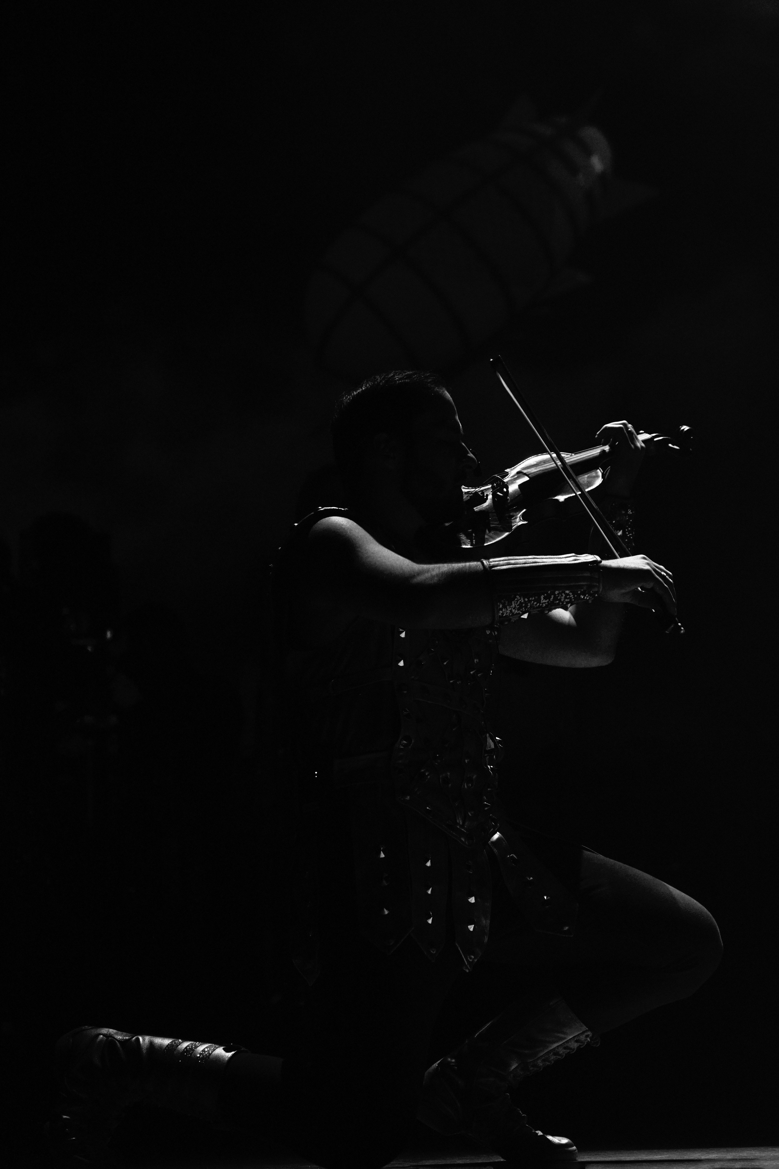 Concord orceatra. Фотограф