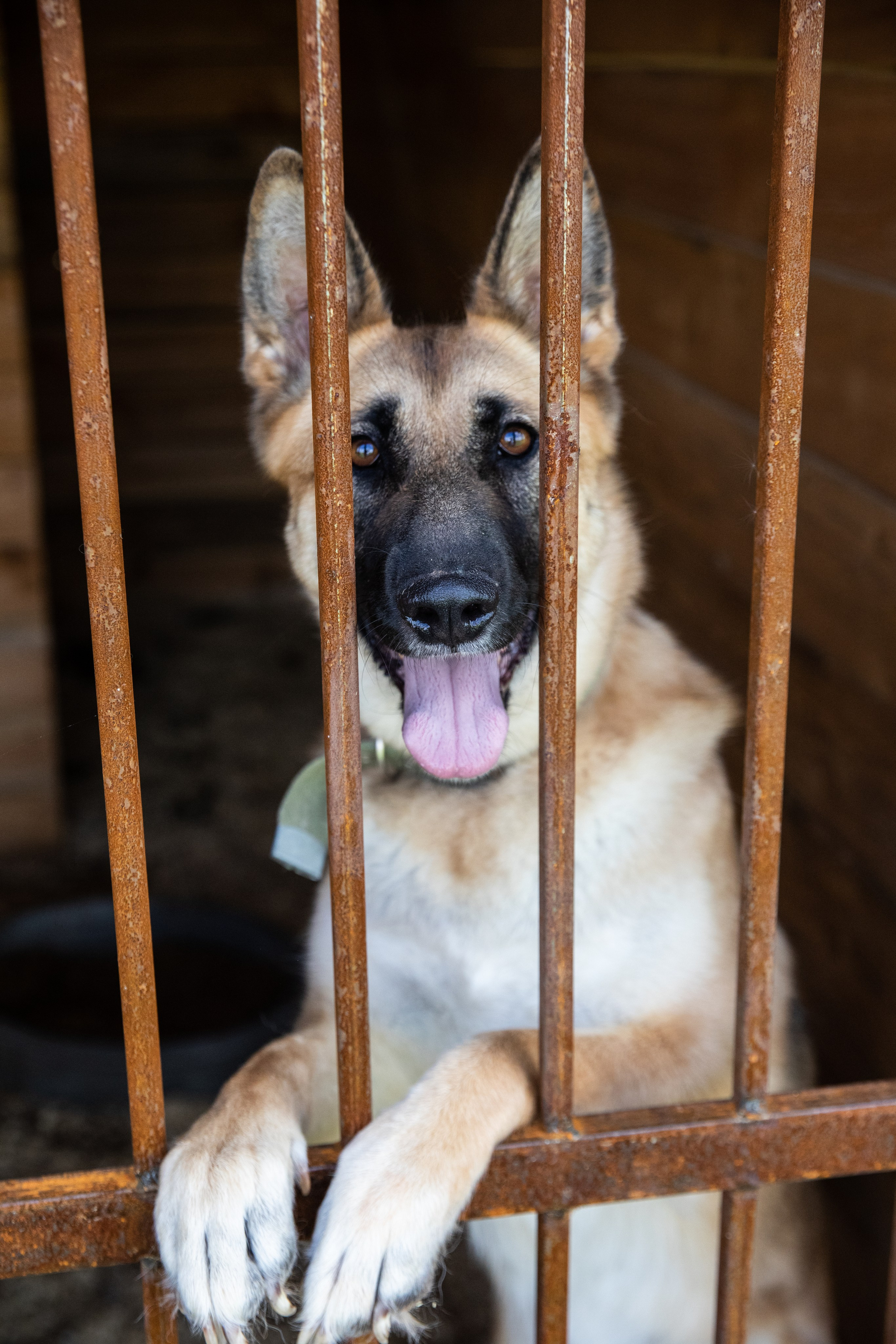 Приют — Наш дом. Репортажный и свадебный фотограф в Челябинске Елисеев Павел