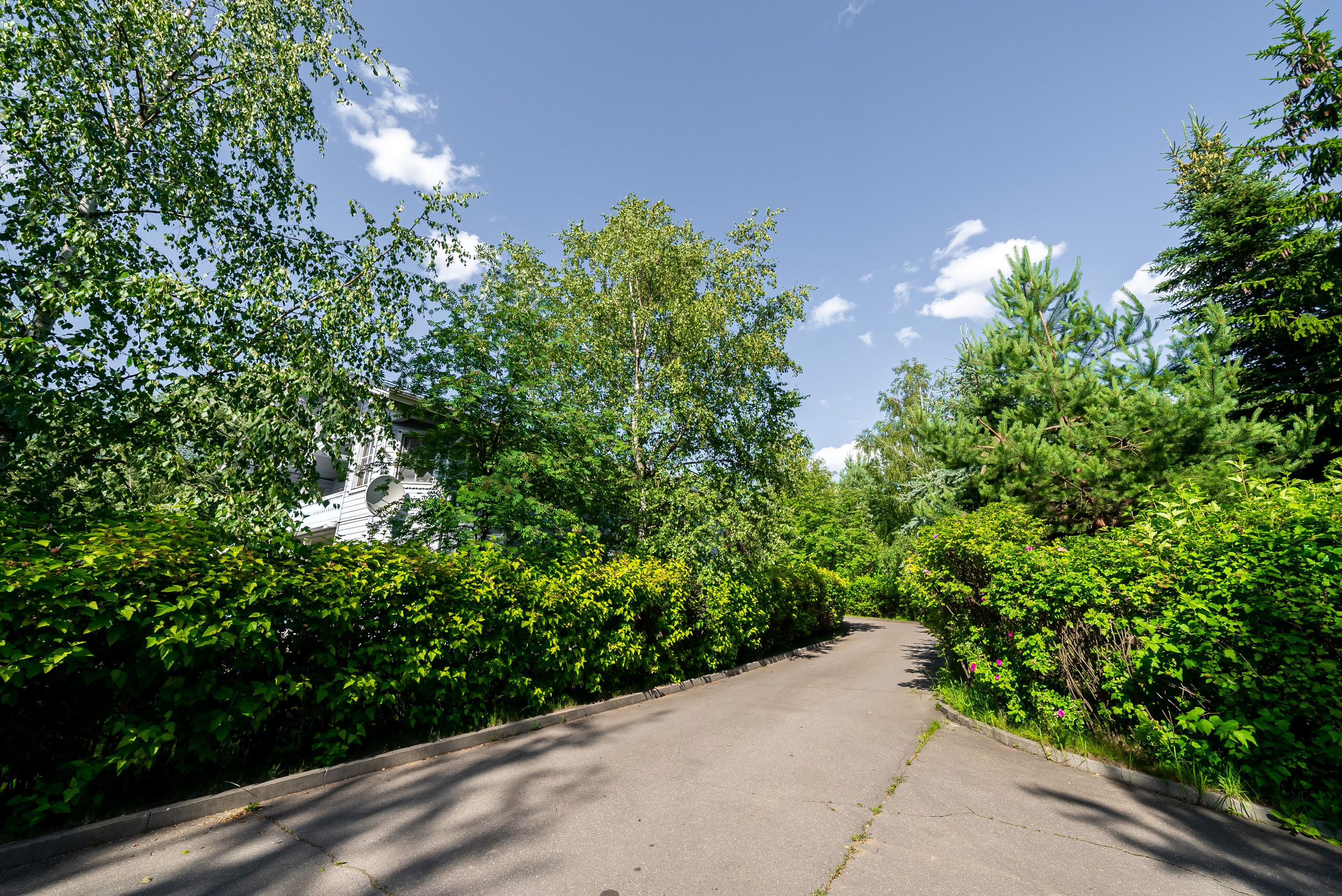 СНОВИДОВО. Фото и видео-съемка Андраник Хачатурян