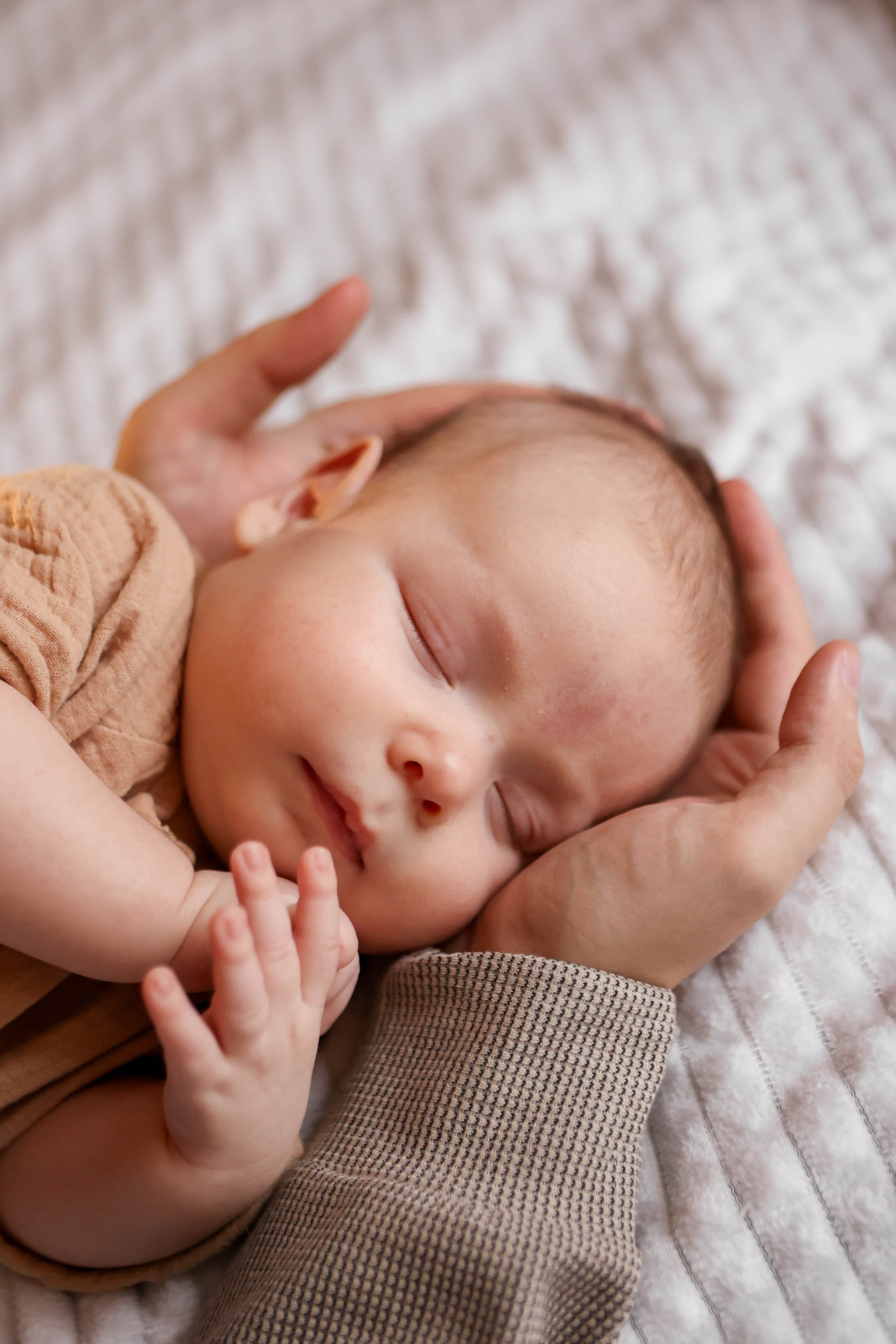 Тимоша. Наталья Косьянова. Ваш фотограф. Москва