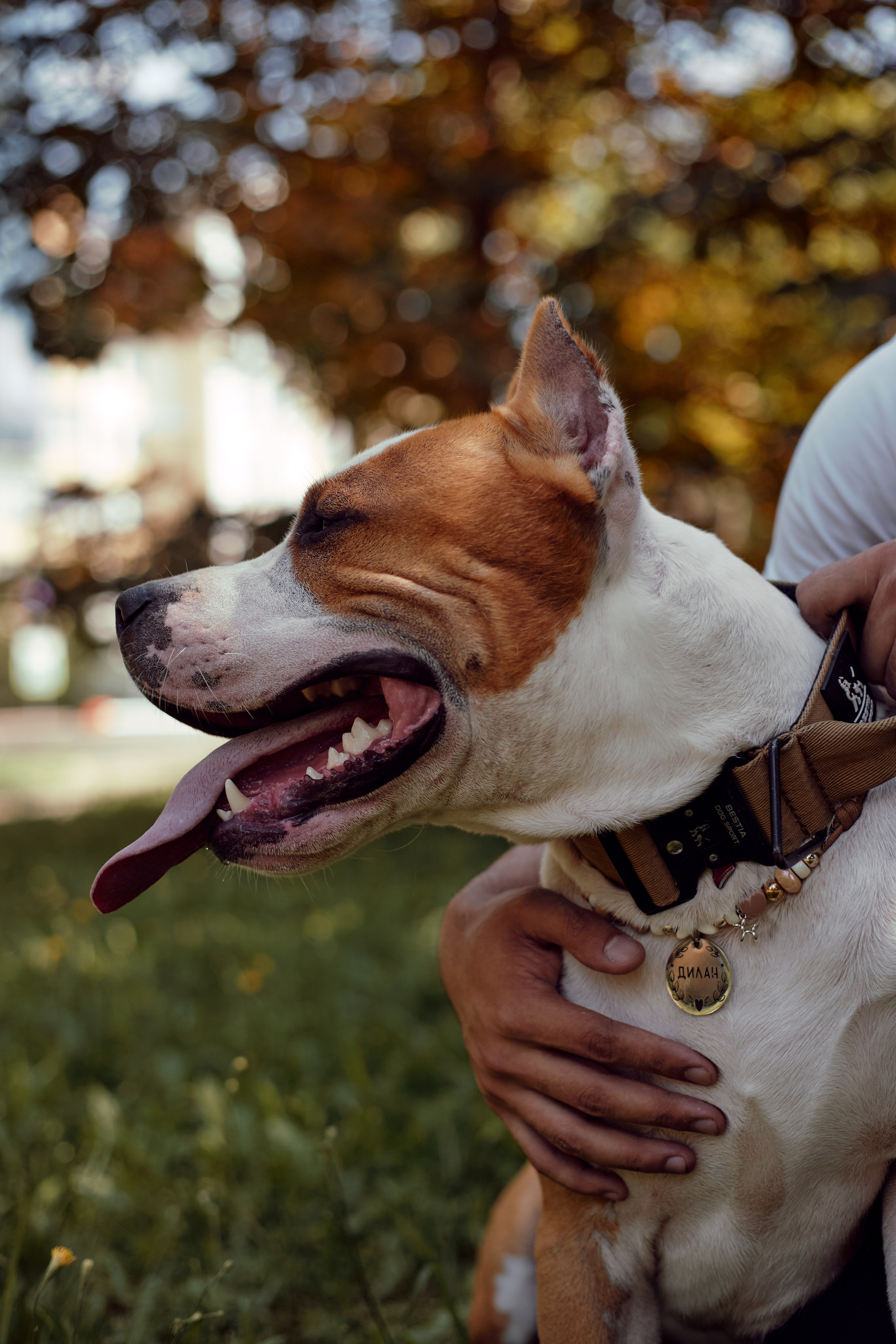 Абдо (прогулка с собакой). Фотограф из Казани