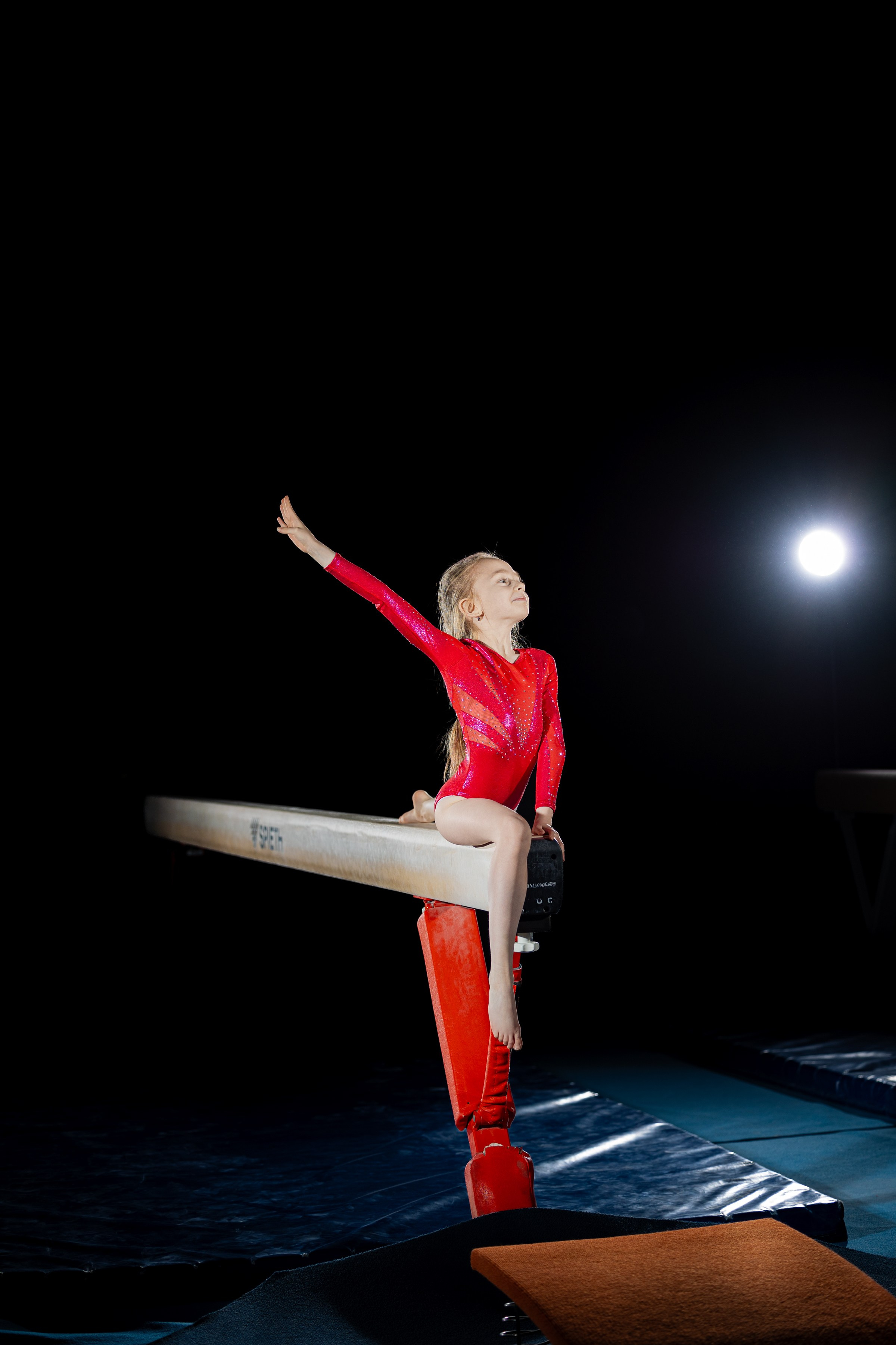 Спортивная гимнастика. Фотограф Князев Сергей