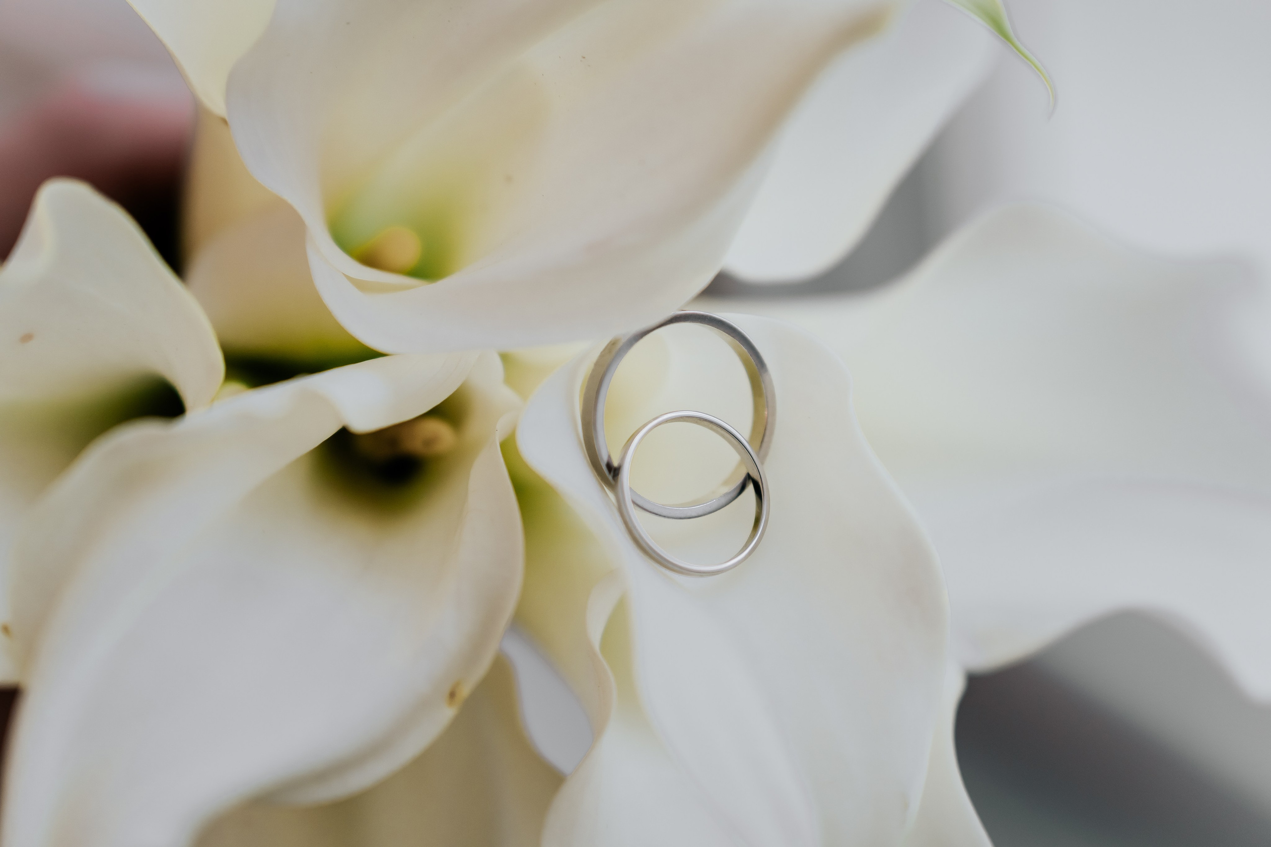 — СВАДЬБЫ. Профессиональный фотограф в Санкт-Петербурге Владимир Денисов