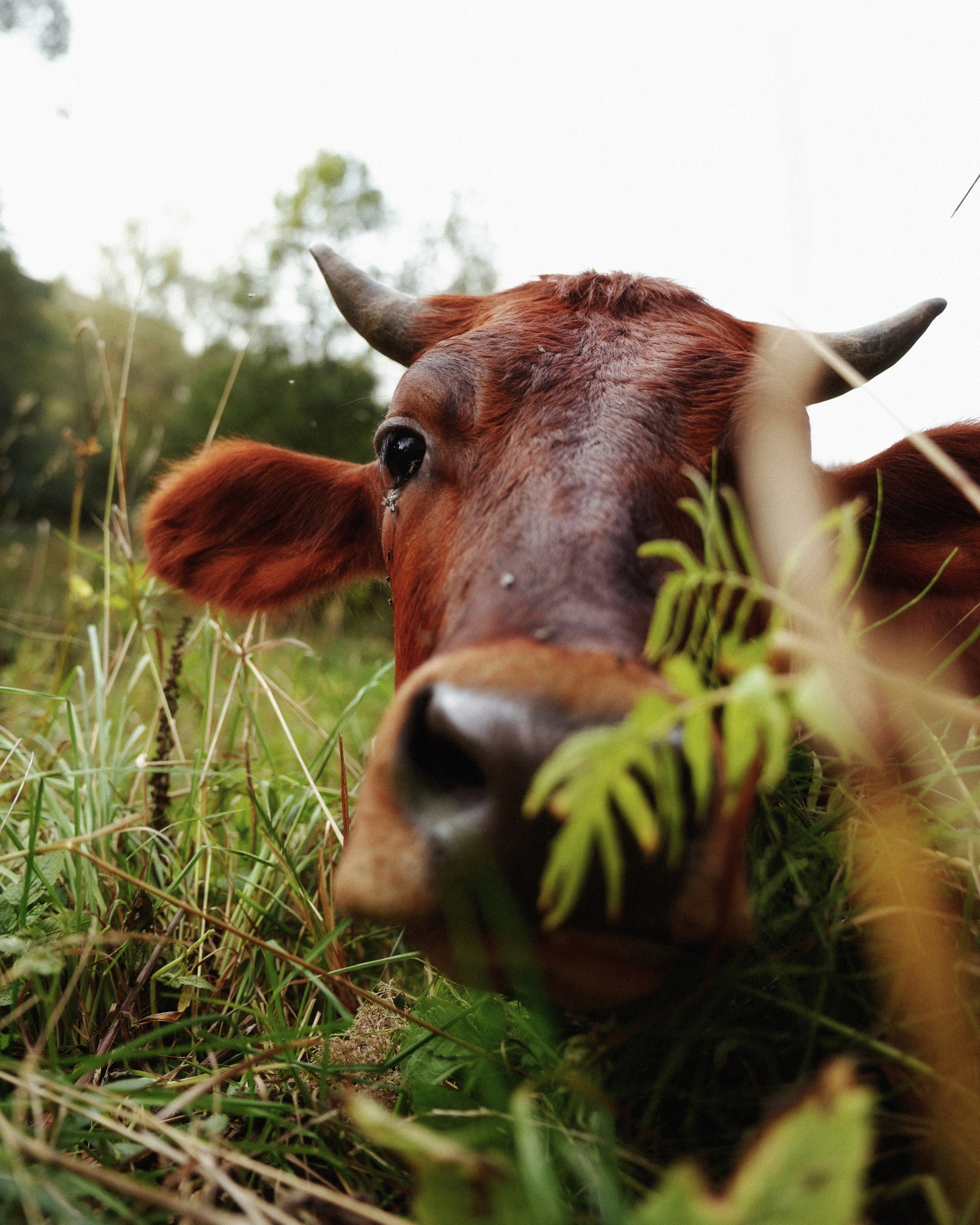 KALUGA. ANNA — PHOTOGRAPHER