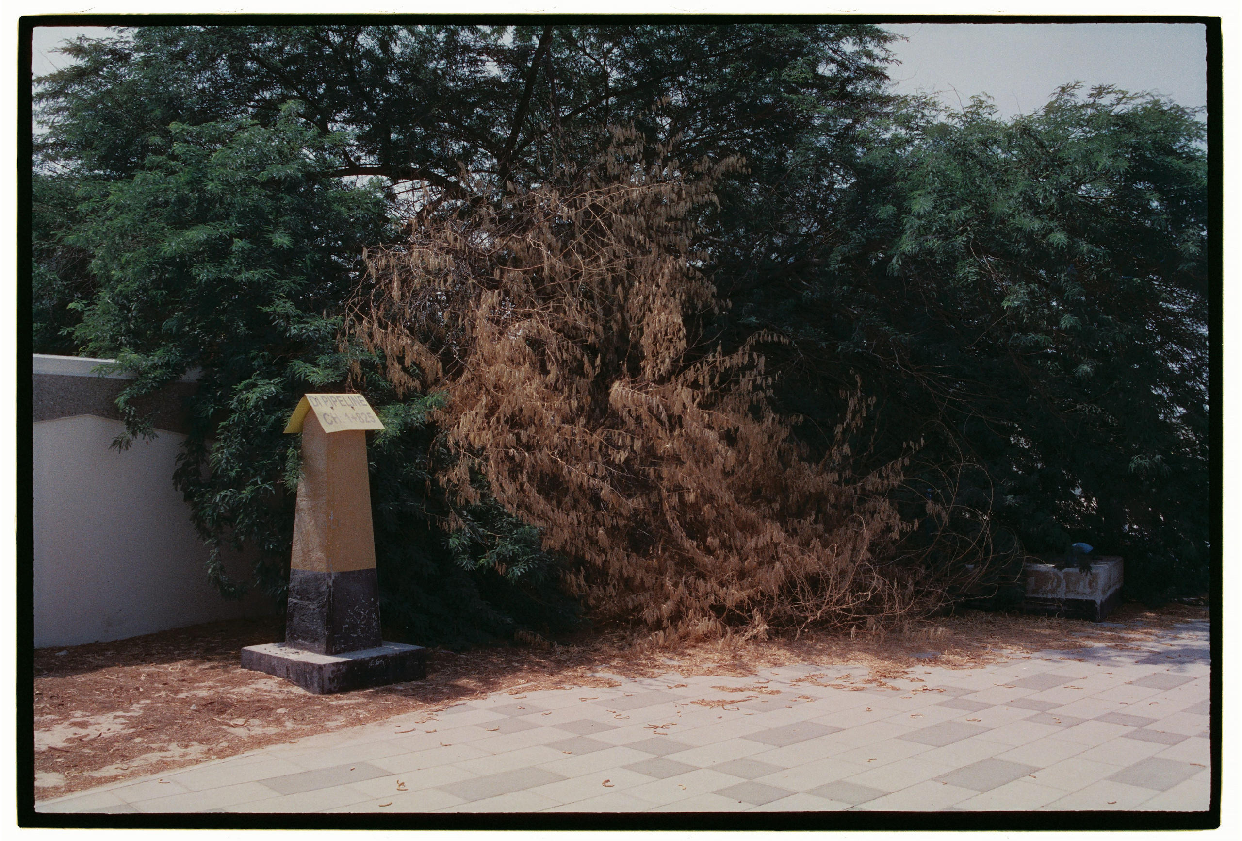 UAE. ANNA — PHOTOGRAPHER