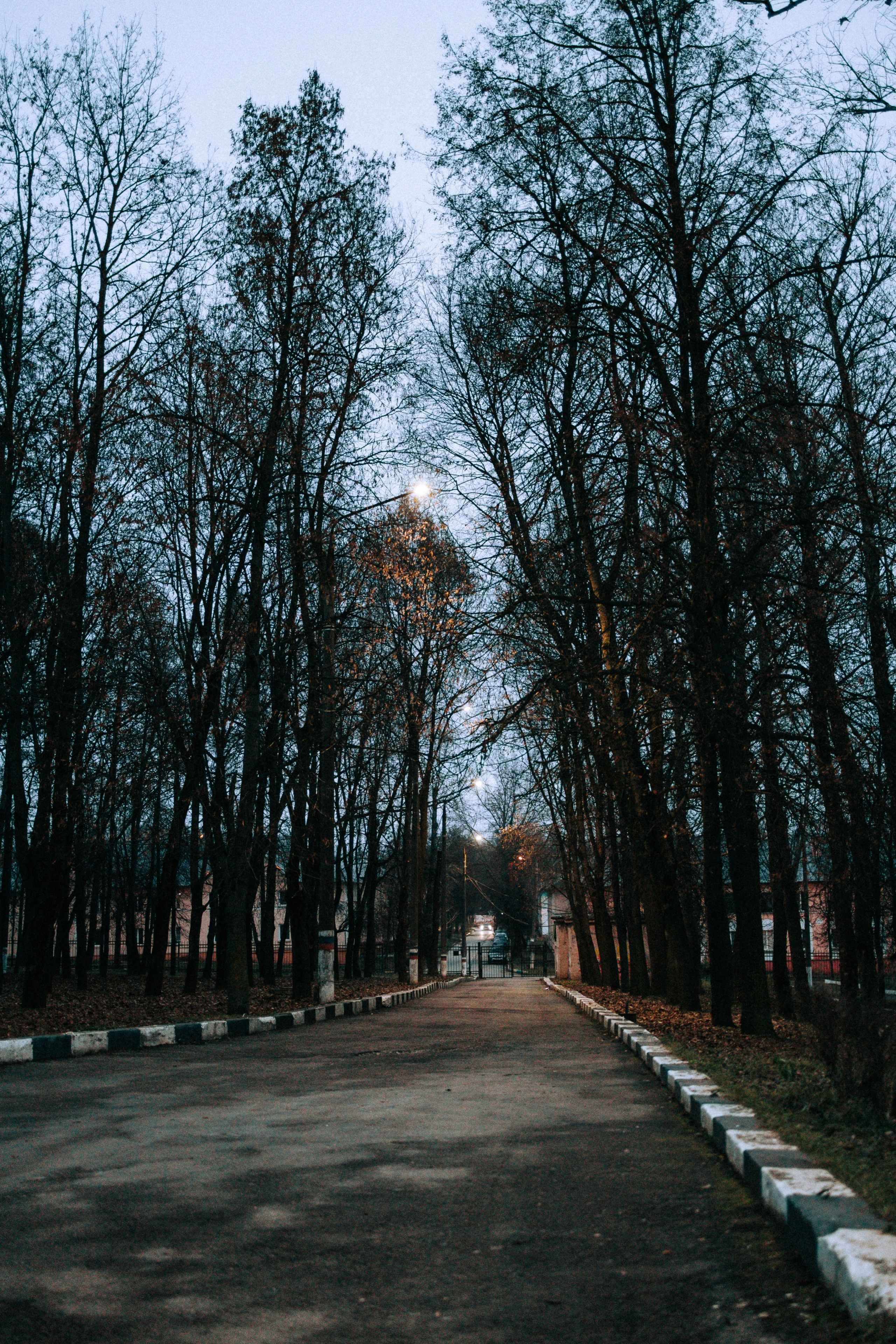 Вечерний ноябрь. Свадебный и семейный фотограф в Туле и области Маша Костина