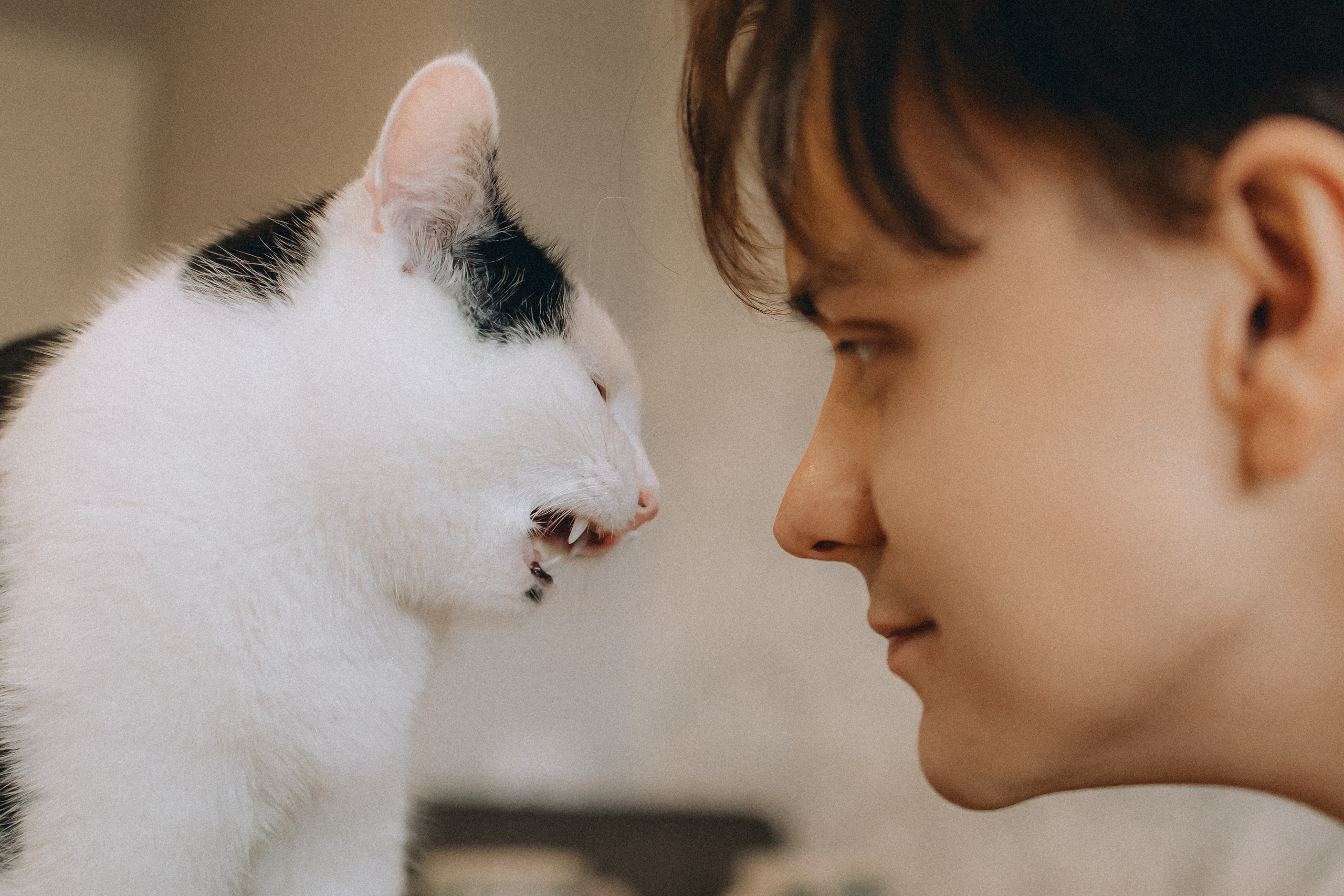 Рыся, Кепа и их семья