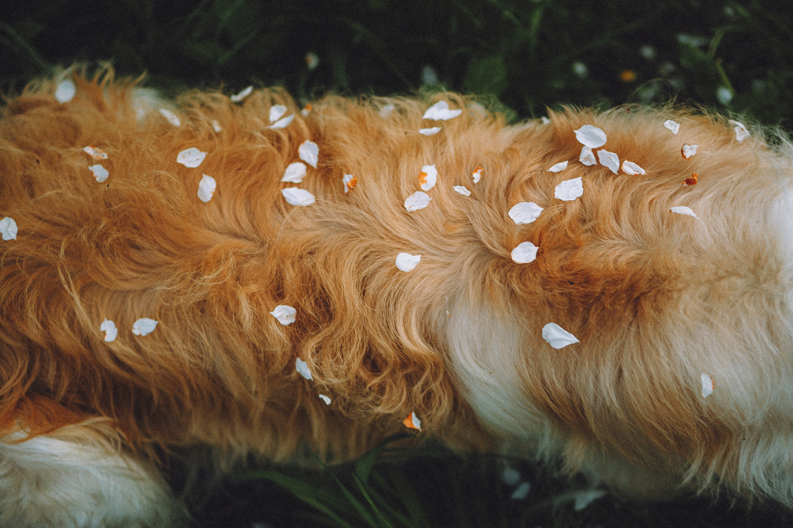 Илай, Зайка и их семья