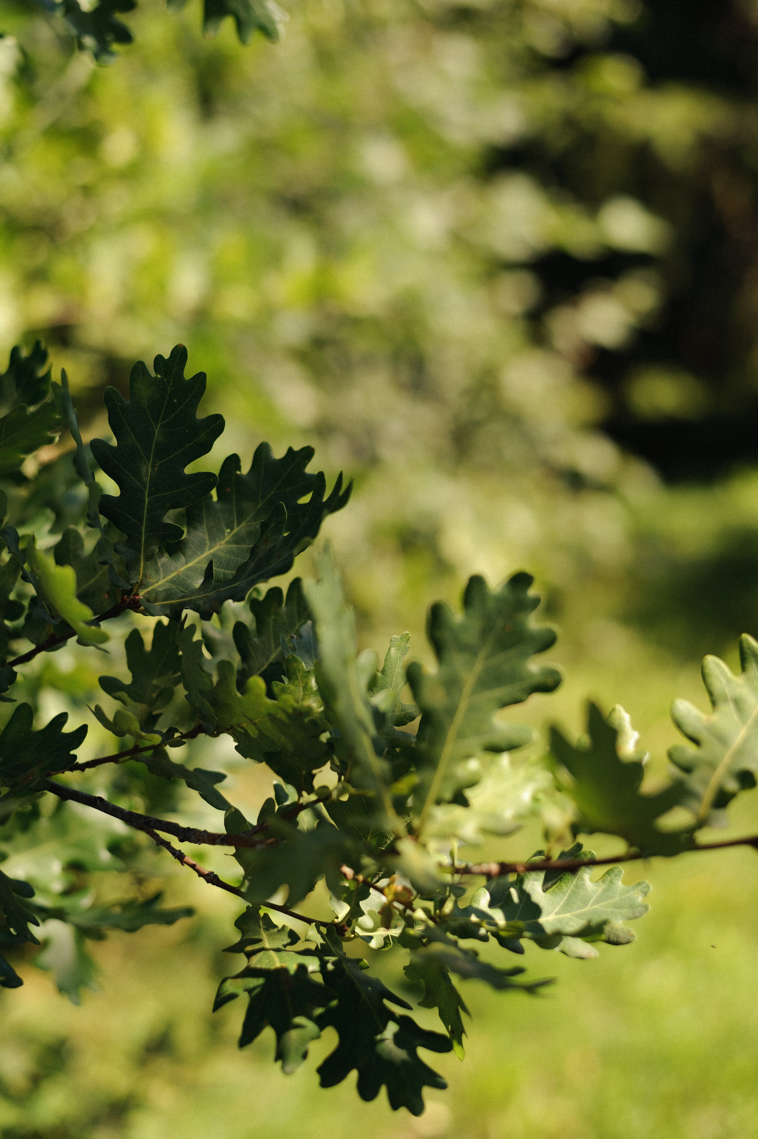 Артём и Елена. Фотограф в Екатеринбурге Артём Зайнетдинов