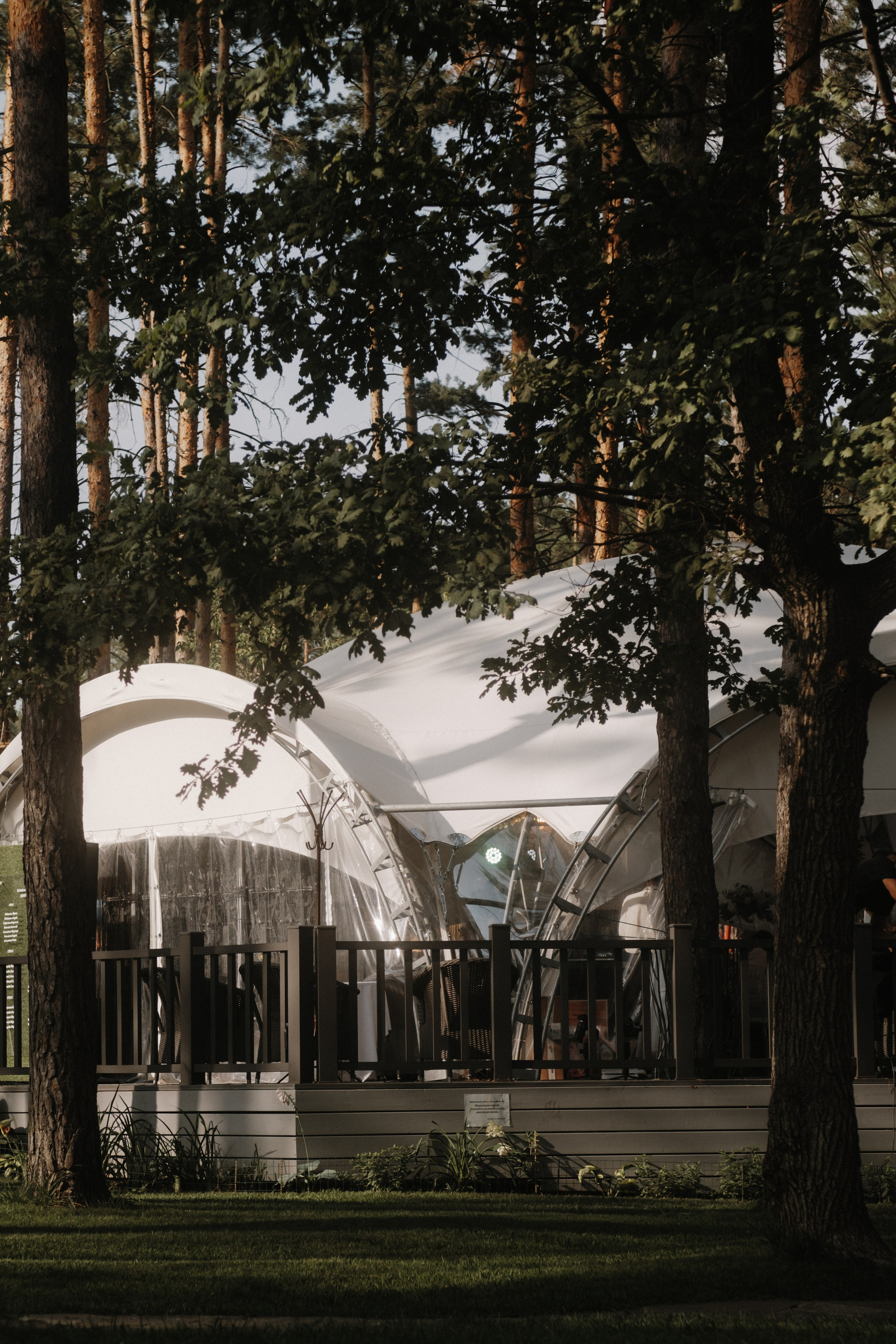 Свадьба в Тольятти. Свадебный организатор в Тольятти | Самаре