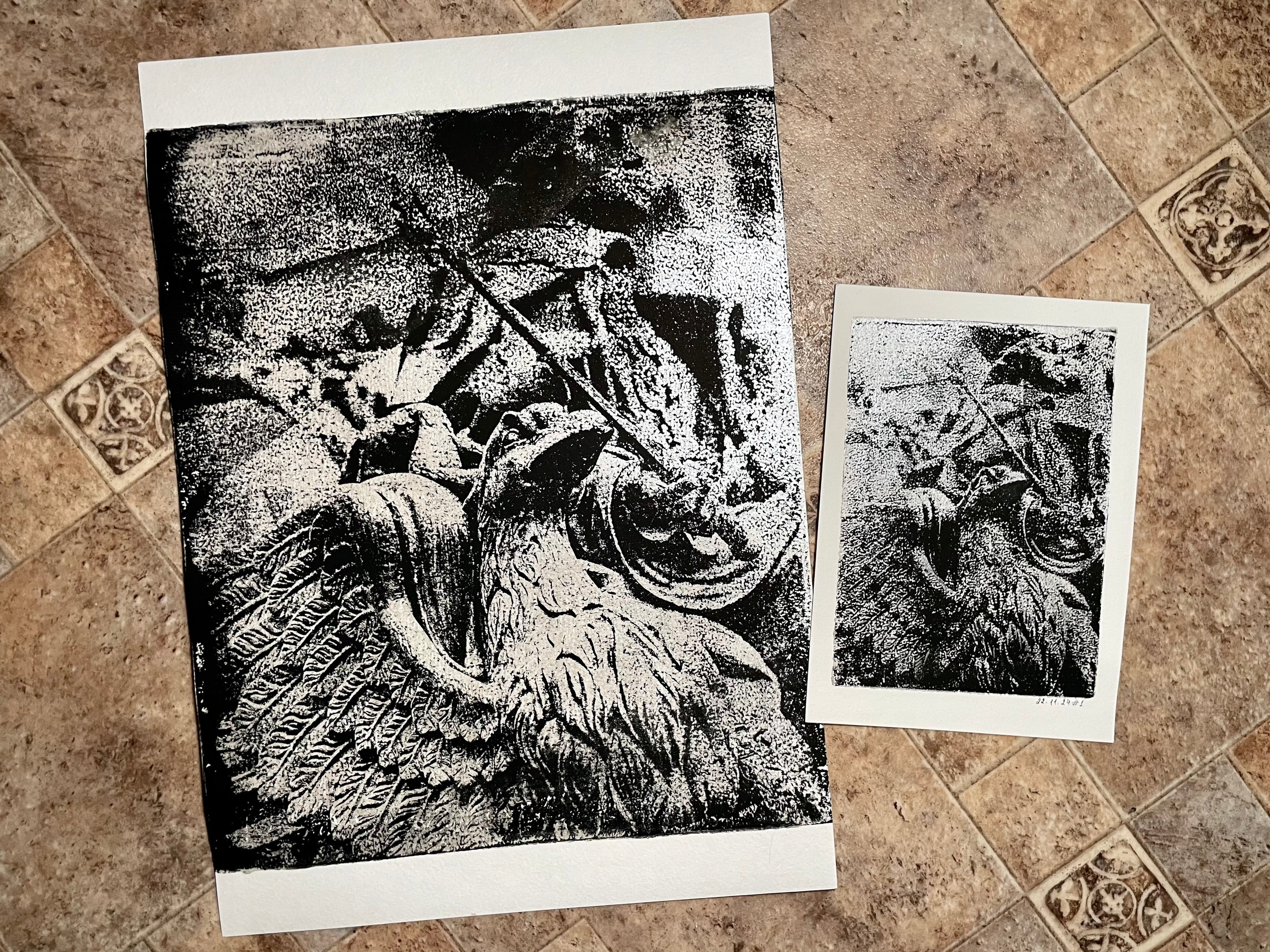 Монотипии. Photographer Natalia Baranova