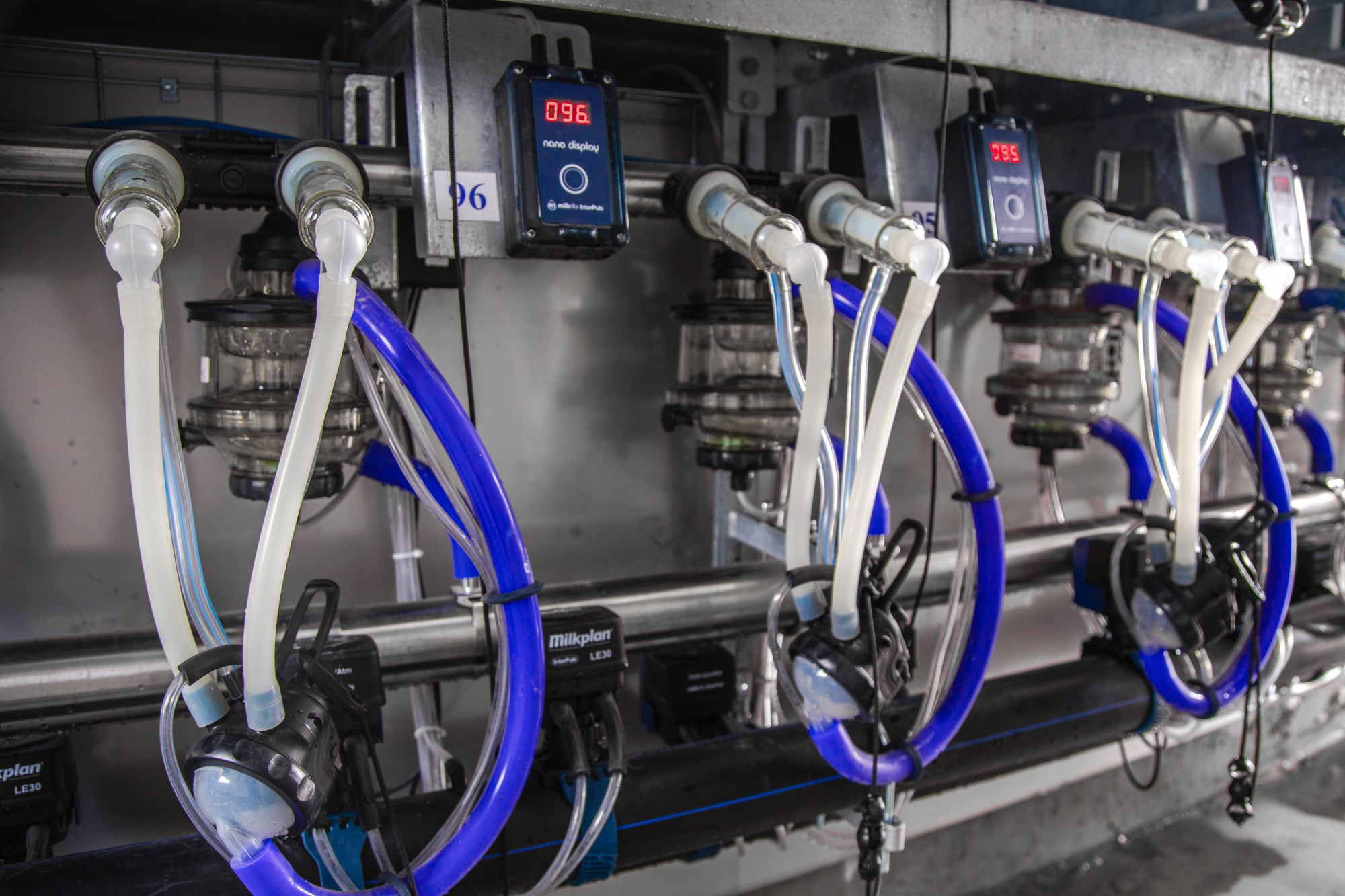 Открытие карусели для дойки скота. Репортажный, промышленный и маркетплейс-фотограф Дмитрий Чернат