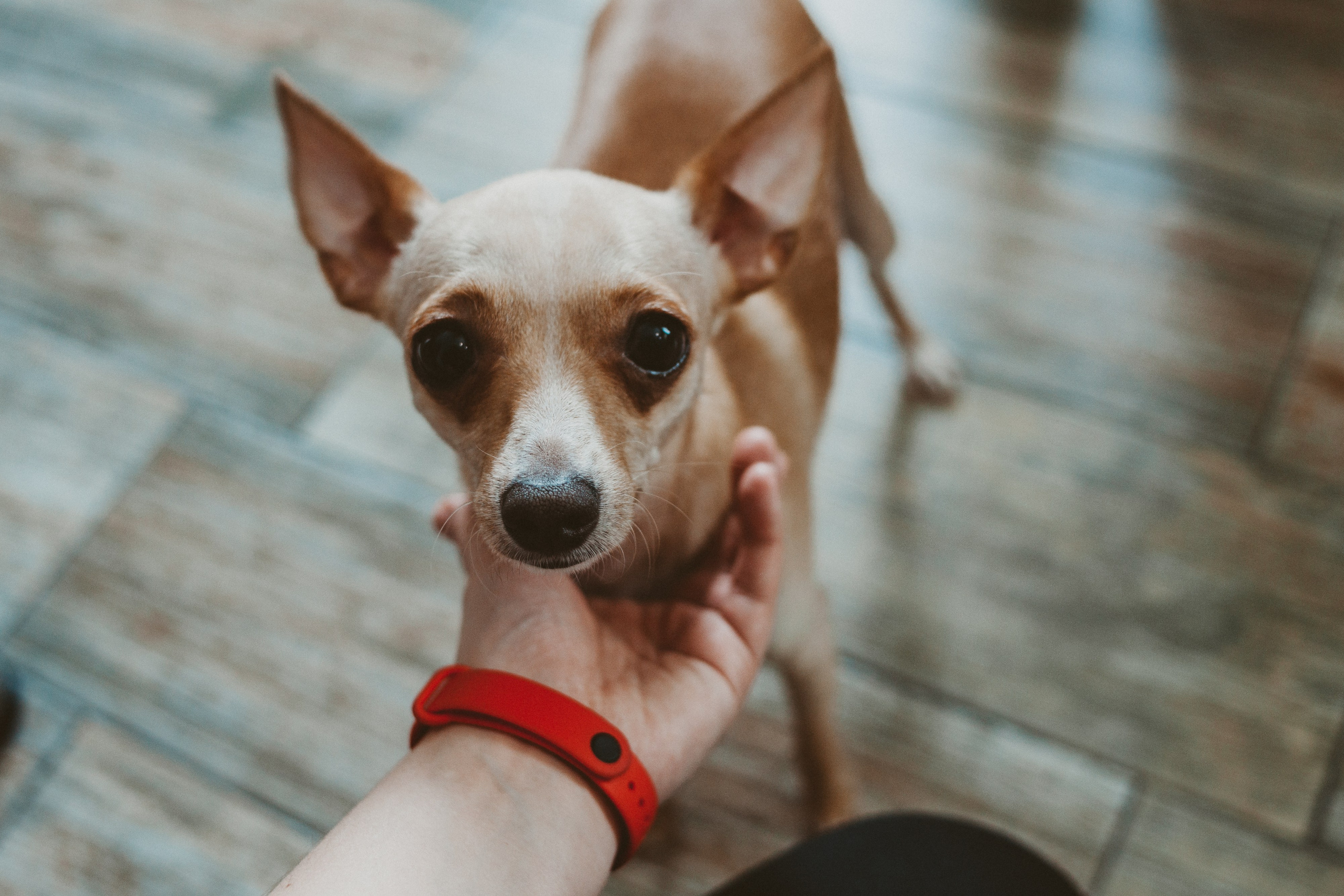 🤍. Екатерина Королева. Фотограф. Хабаровск