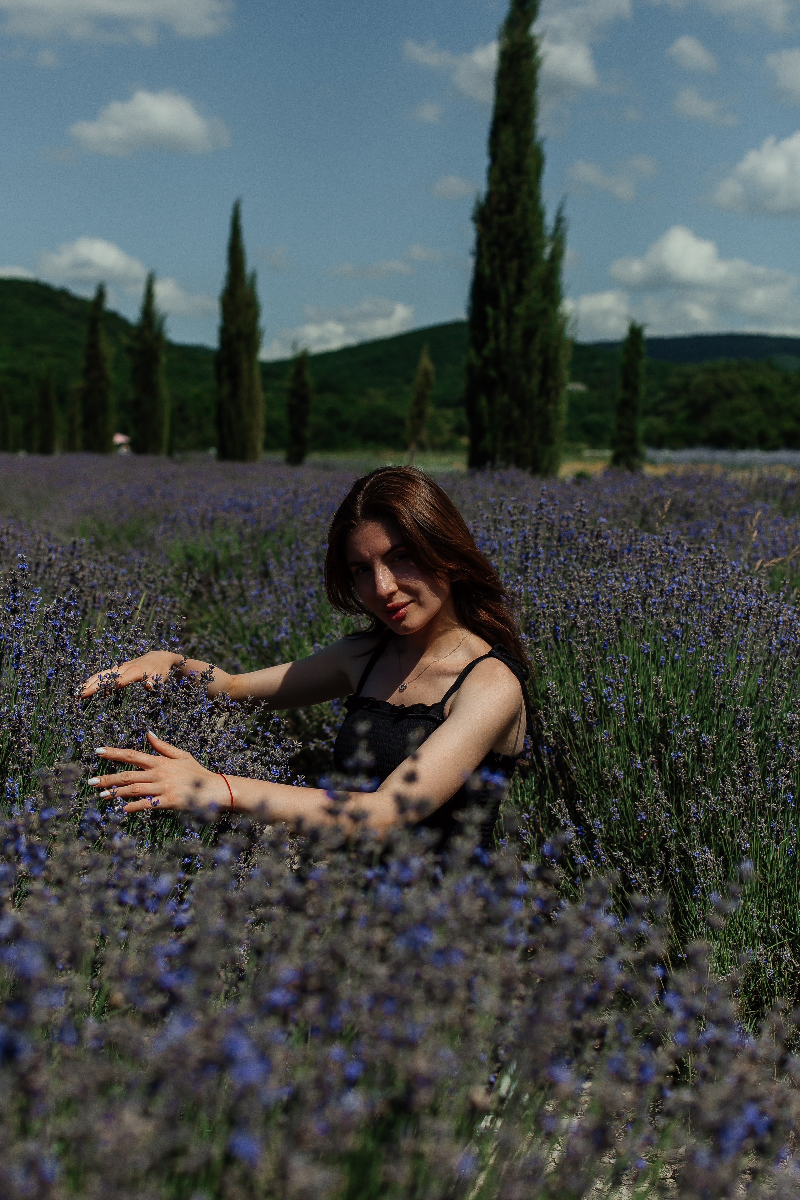 Лавандовые поля