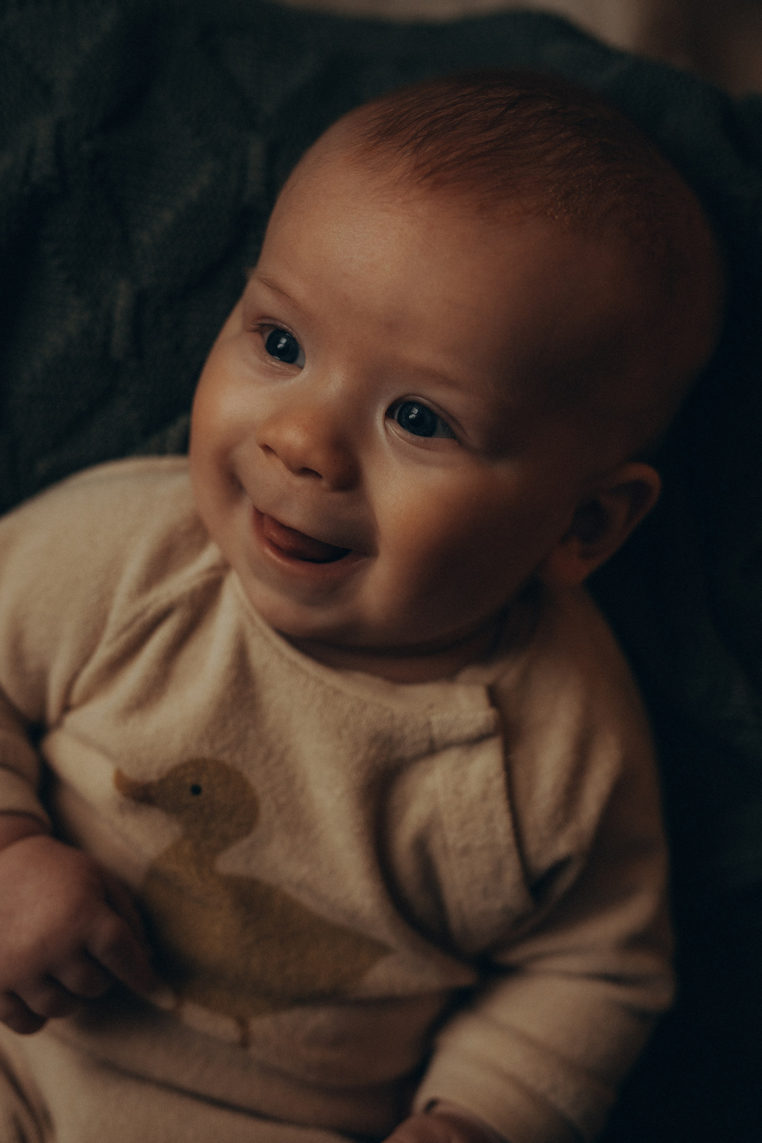 Lifestyle New Year малыши. Фотограф новорожденных в Ярославле Ольга Зимина