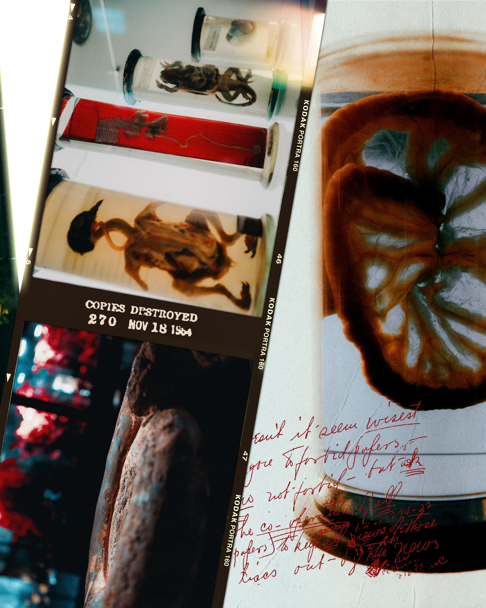 I want to believe. Фёдор Малюгин. Ваш бади в визуале