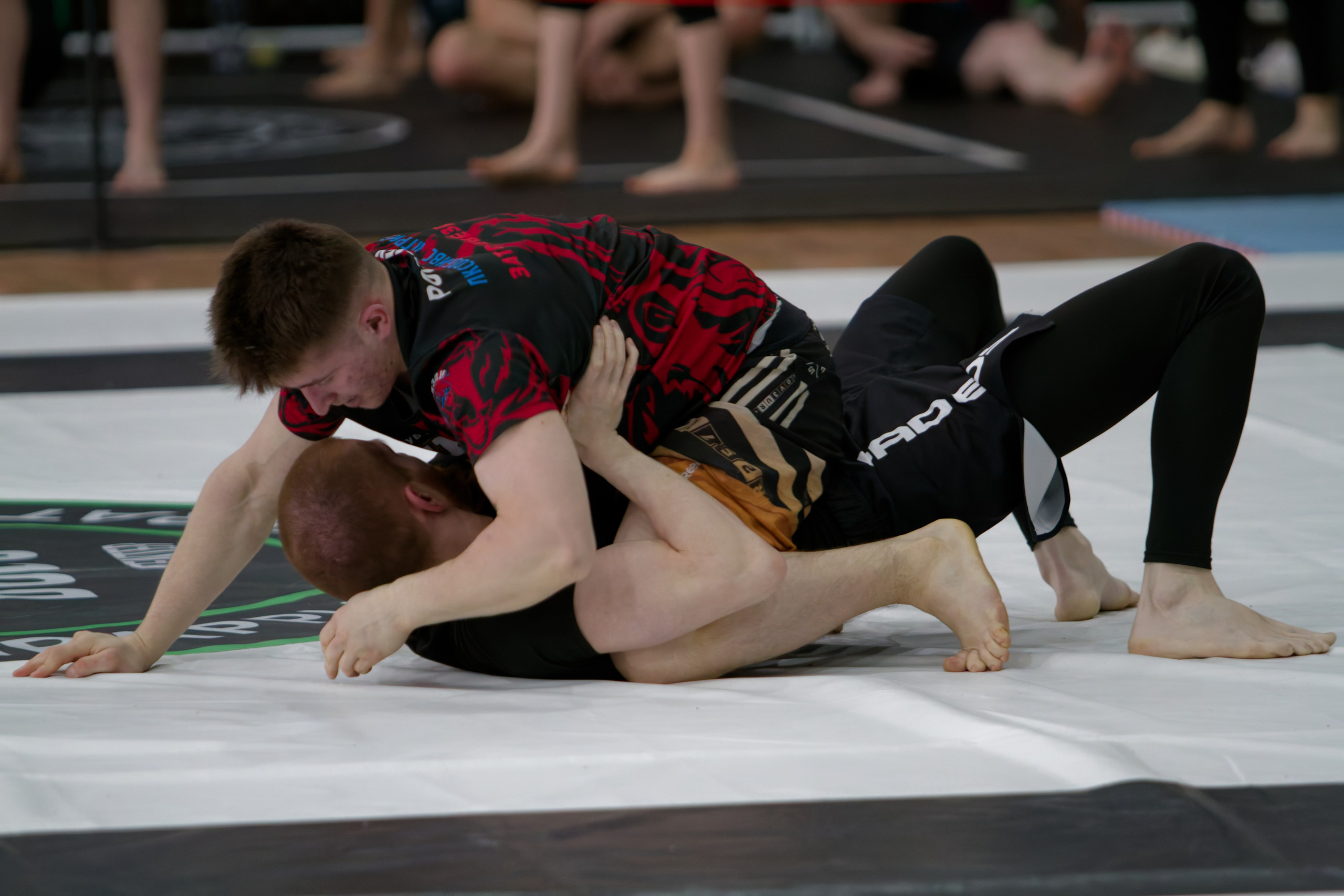 Борьба. Джиу-джитсу 26.04.2025. Репортажный и спортивный фотограф в г. Пермь Зильберг Павел