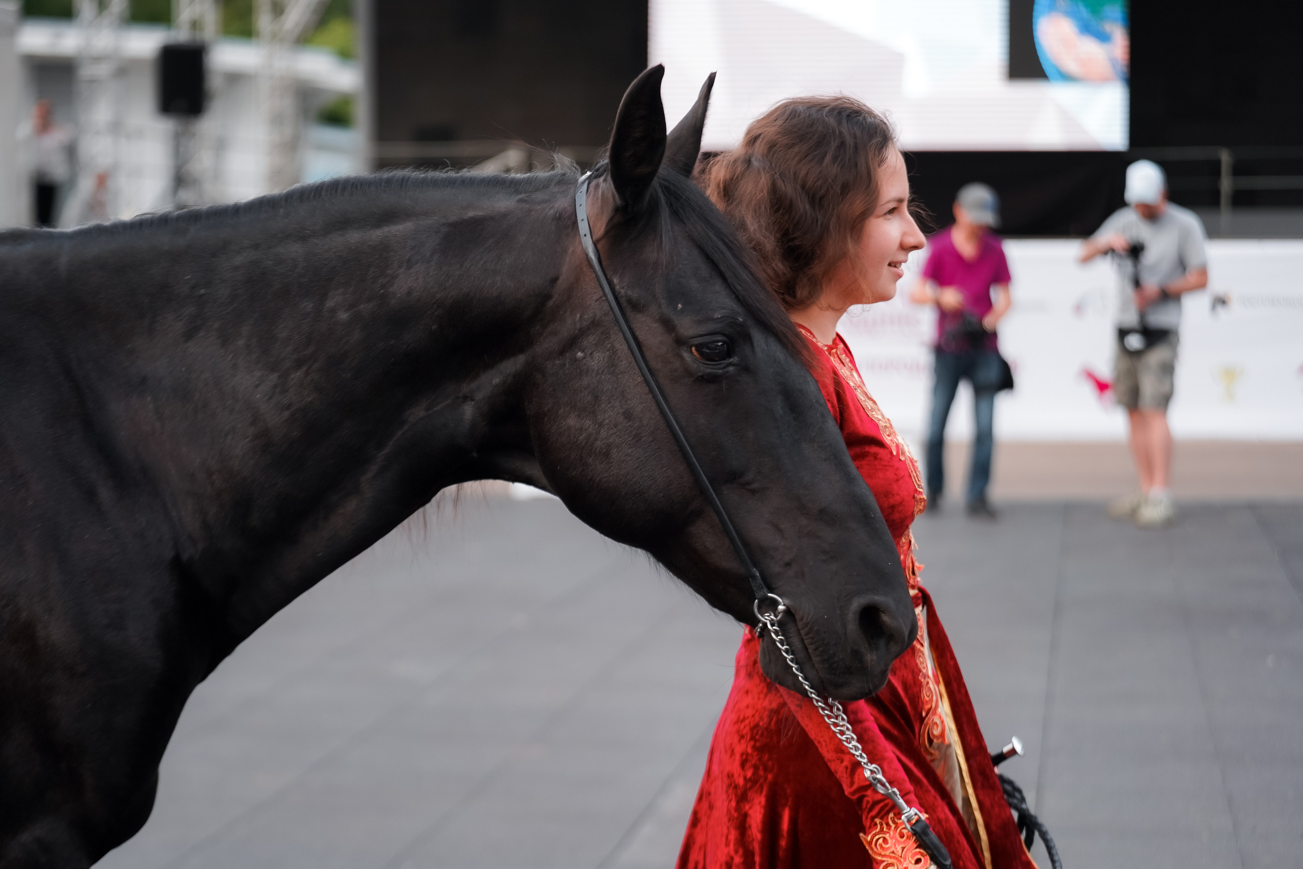 Фестиваль национальных пород лошадей в Парке Сокольники. Фотограф-анималист, портретный фотограф в Чебоксарах Мария Садыкова