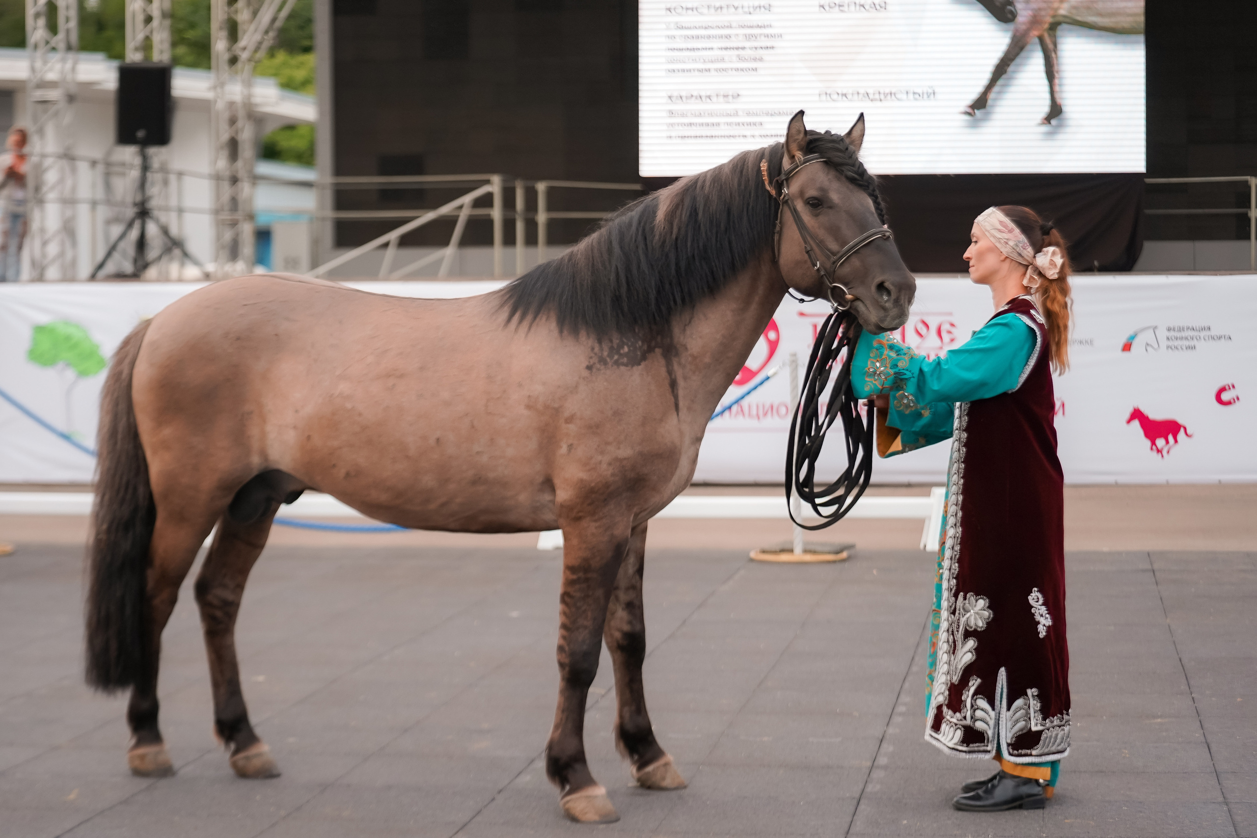 Фестиваль национальных пород лошадей в Парке Сокольники. Фотограф-анималист, портретный фотограф в Чебоксарах Мария Садыкова