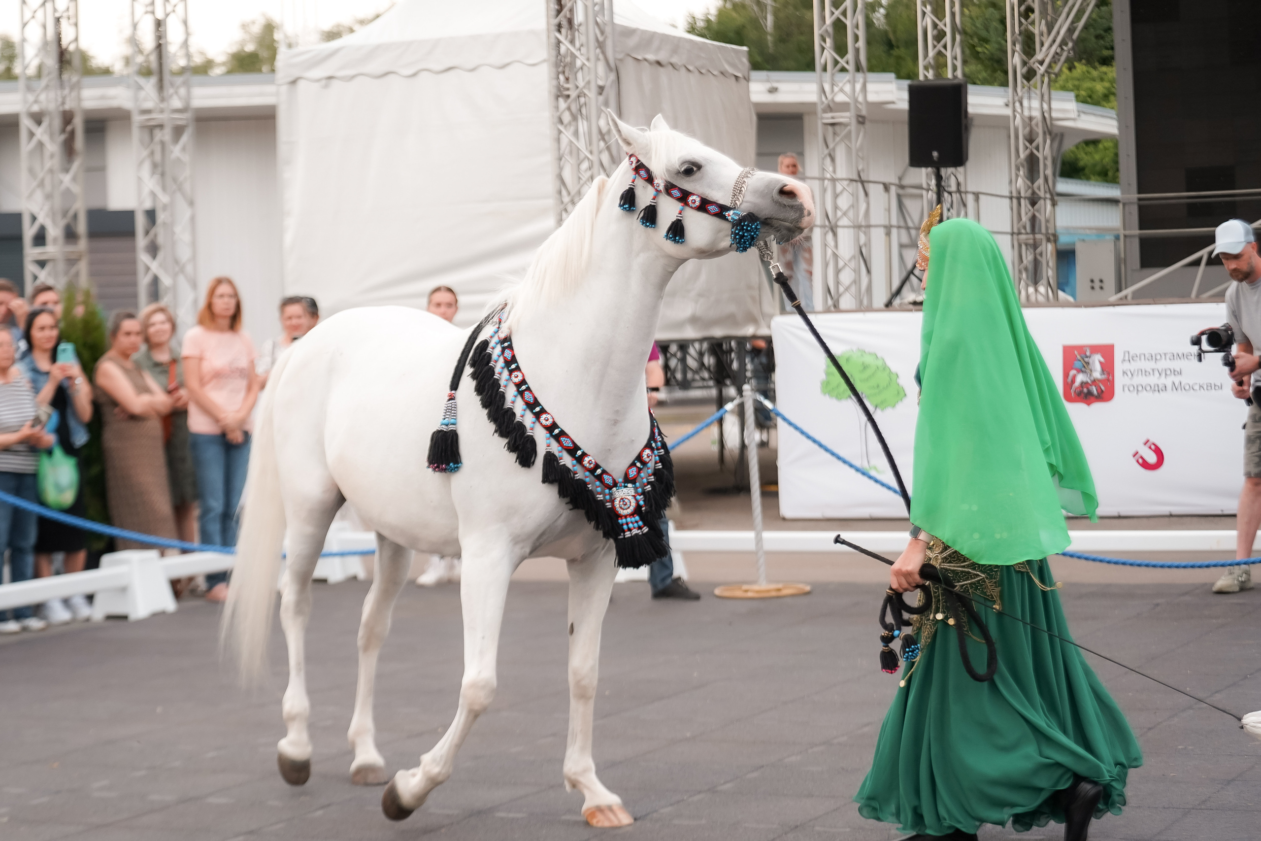 Фестиваль национальных пород лошадей в Парке Сокольники. Фотограф-анималист, портретный фотограф в Чебоксарах Мария Садыкова