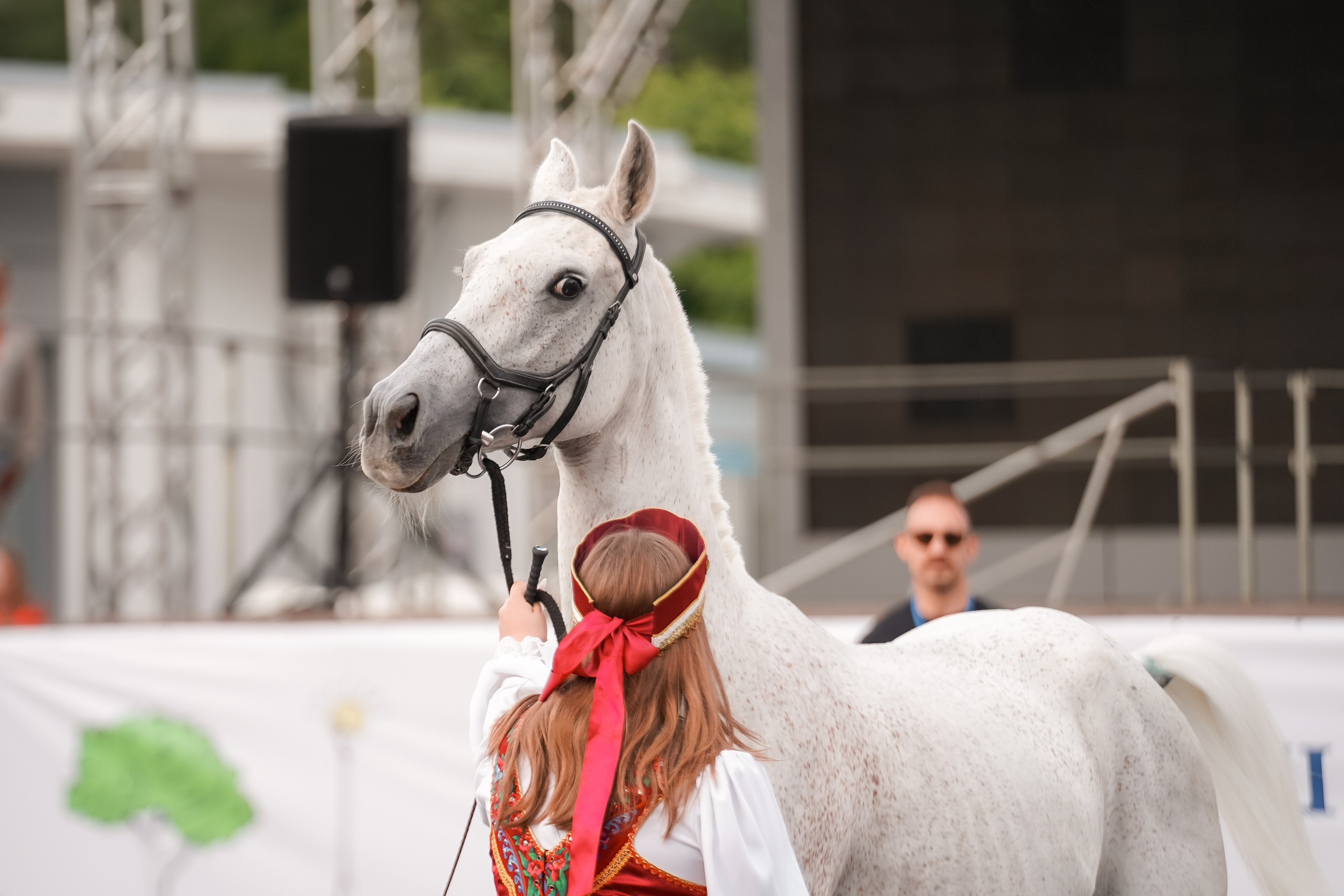 Фестиваль национальных пород лошадей в Парке Сокольники. Фотограф-анималист, портретный фотограф в Чебоксарах Мария Садыкова