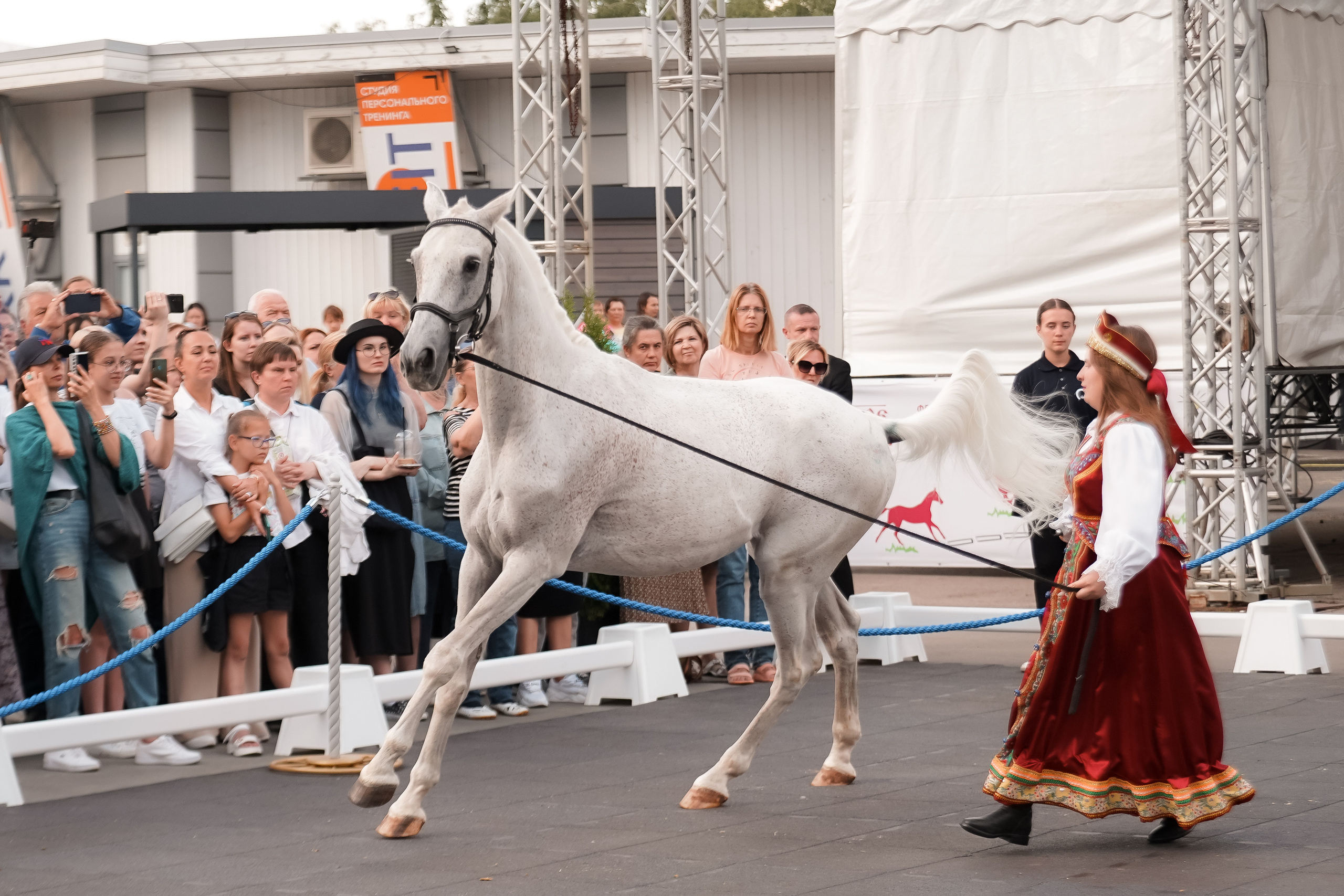 Фестиваль национальных пород лошадей в Парке Сокольники. Фотограф-анималист, портретный фотограф в Чебоксарах Мария Садыкова