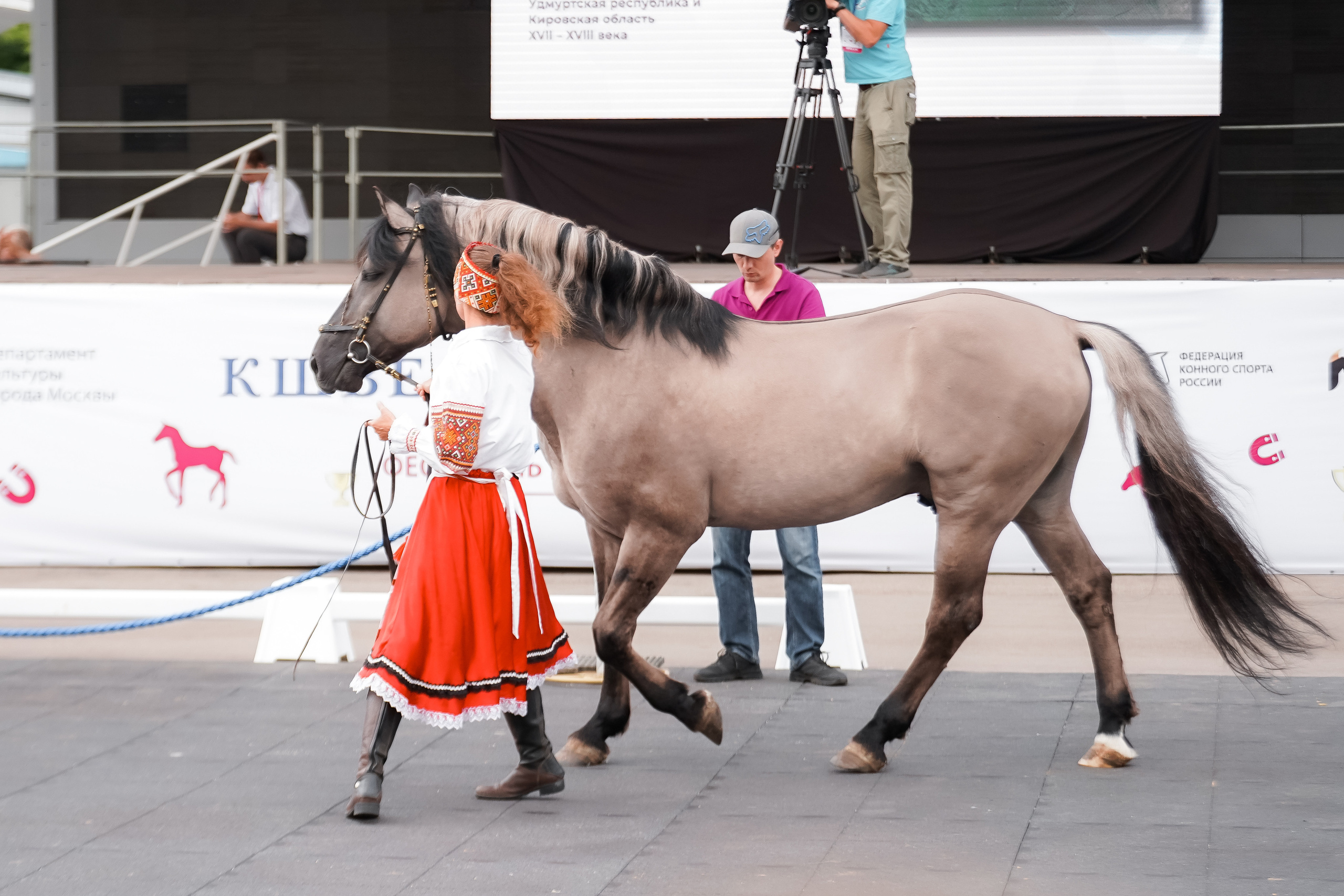 Фестиваль национальных пород лошадей в Парке Сокольники. Фотограф-анималист, портретный фотограф в Чебоксарах Мария Садыкова
