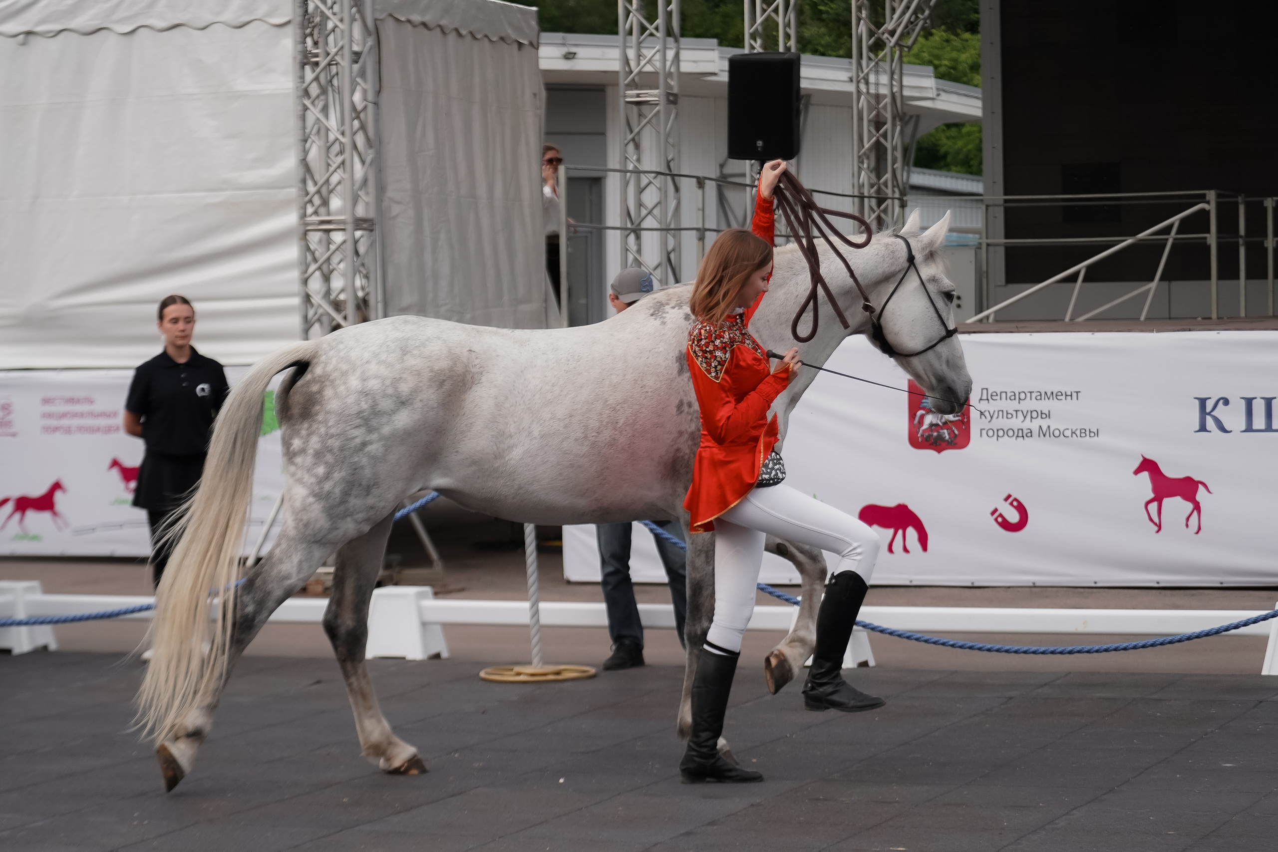 Фестиваль национальных пород лошадей в Парке Сокольники. Фотограф-анималист, портретный фотограф в Чебоксарах Мария Садыкова