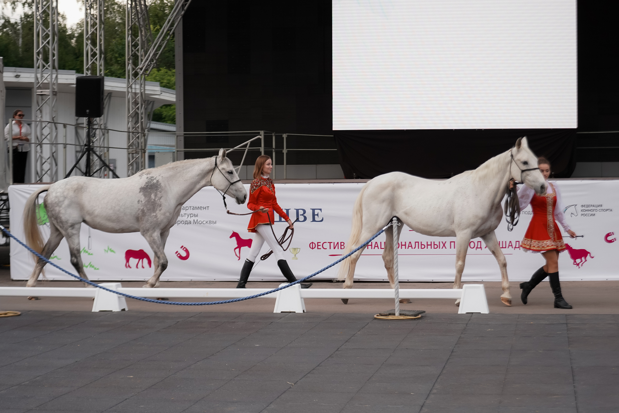 Фестиваль национальных пород лошадей в Парке Сокольники. Фотограф-анималист, портретный фотограф в Чебоксарах Мария Садыкова