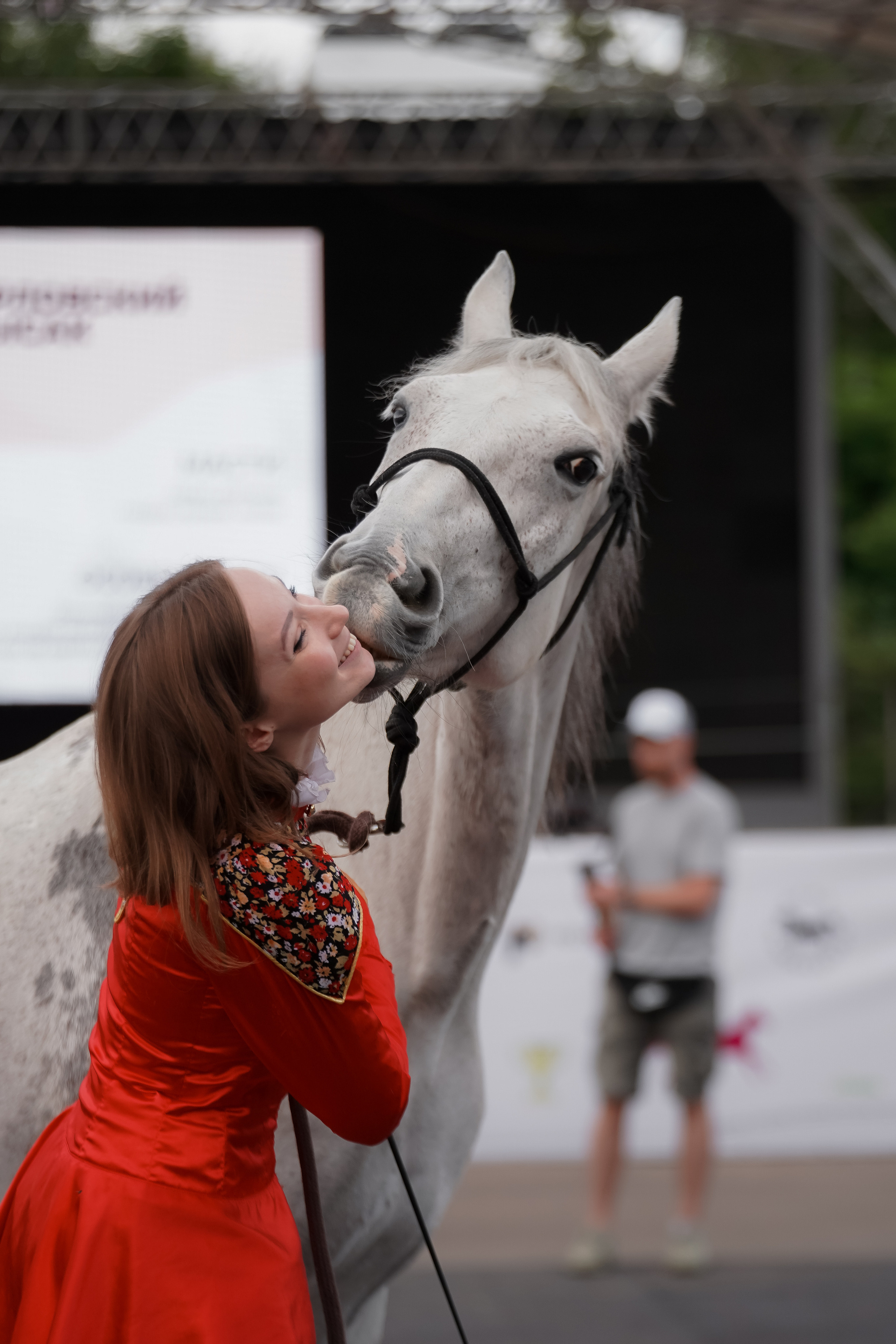 Фестиваль национальных пород лошадей в Парке Сокольники. Фотограф-анималист, портретный фотограф в Чебоксарах Мария Садыкова