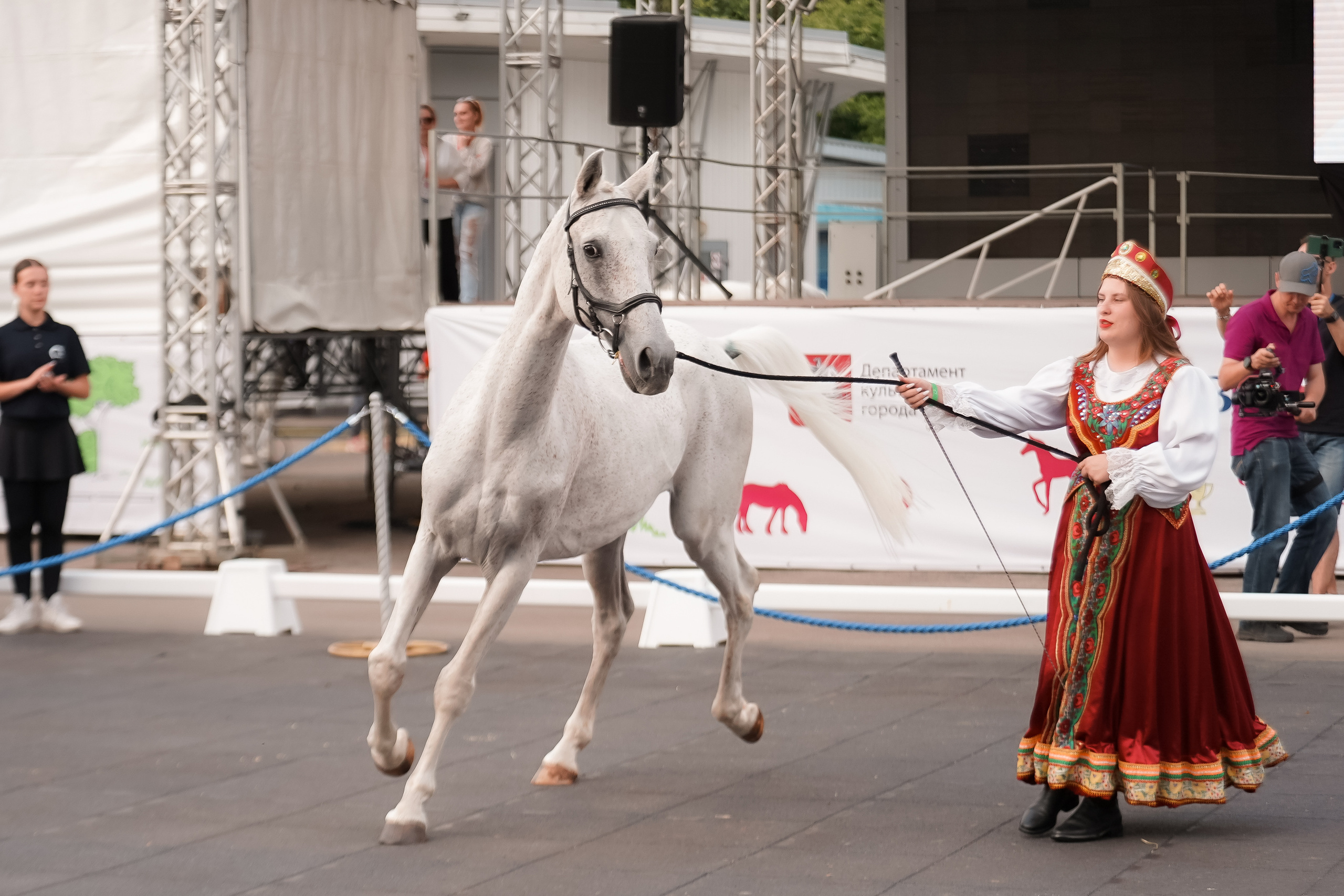 Фестиваль национальных пород лошадей в Парке Сокольники. Фотограф-анималист, портретный фотограф в Чебоксарах Мария Садыкова