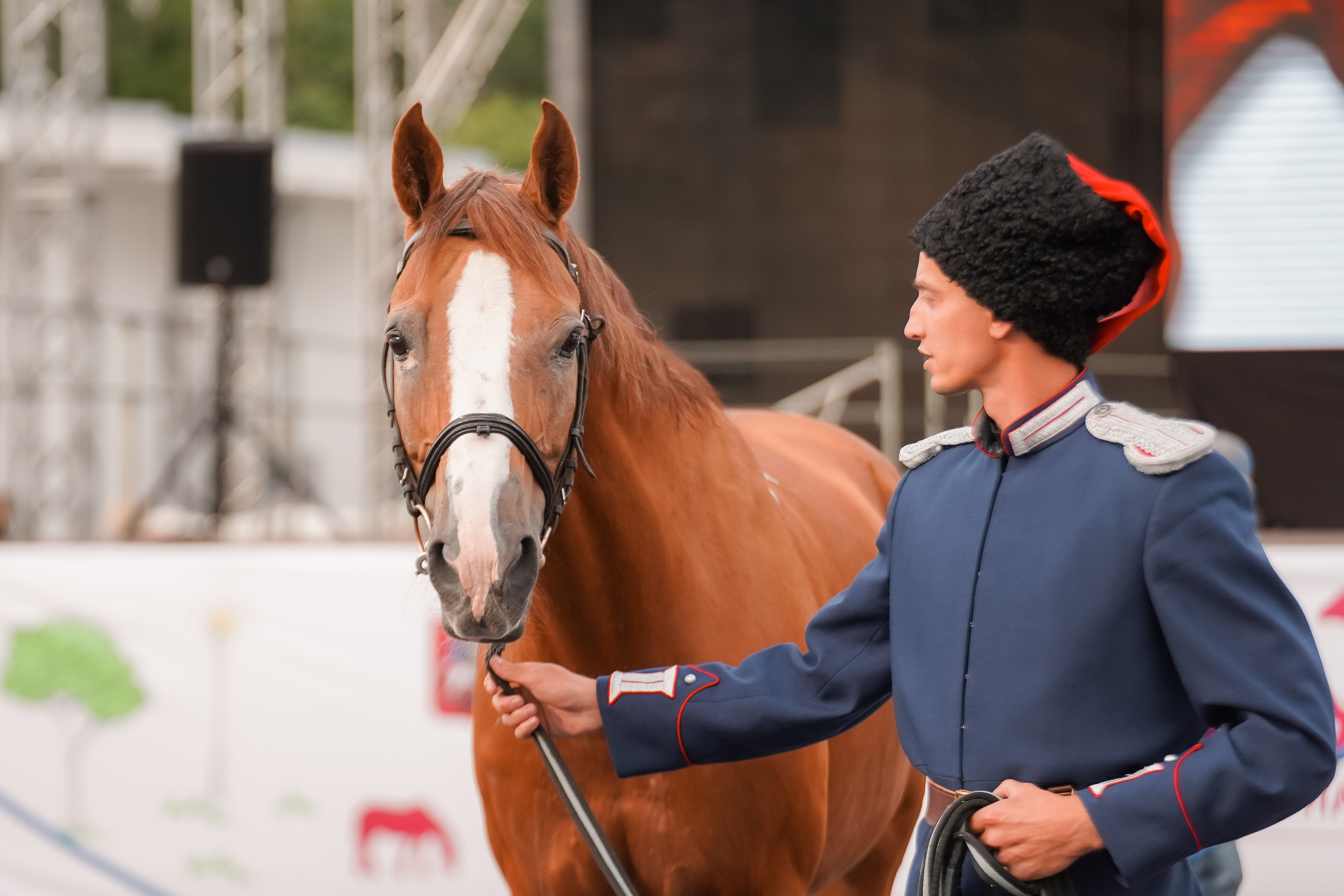 Фестиваль национальных пород лошадей в Парке Сокольники. Фотограф-анималист, портретный фотограф в Чебоксарах Мария Садыкова