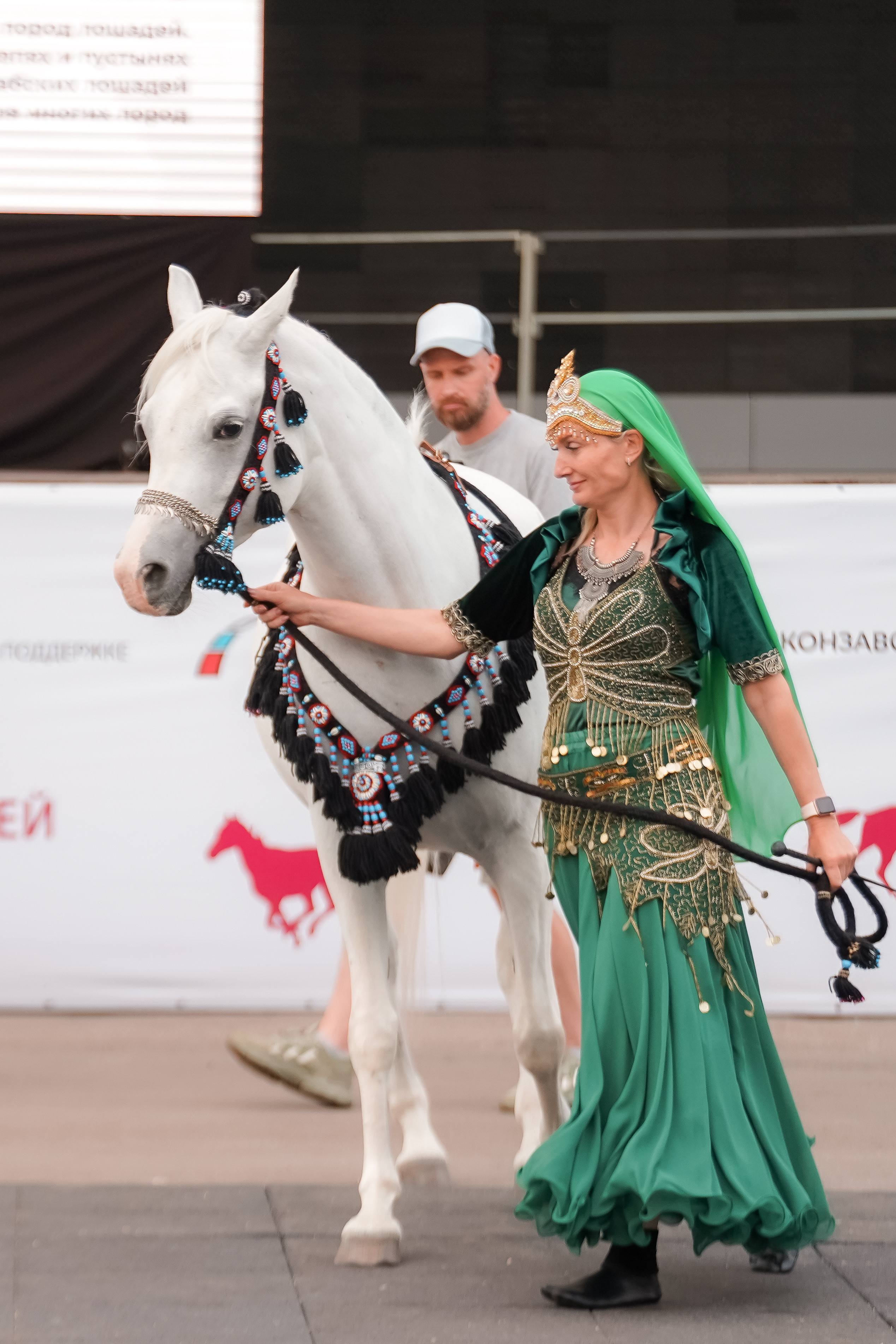Фестиваль национальных пород лошадей в Парке Сокольники. Фотограф-анималист, портретный фотограф в Чебоксарах Мария Садыкова