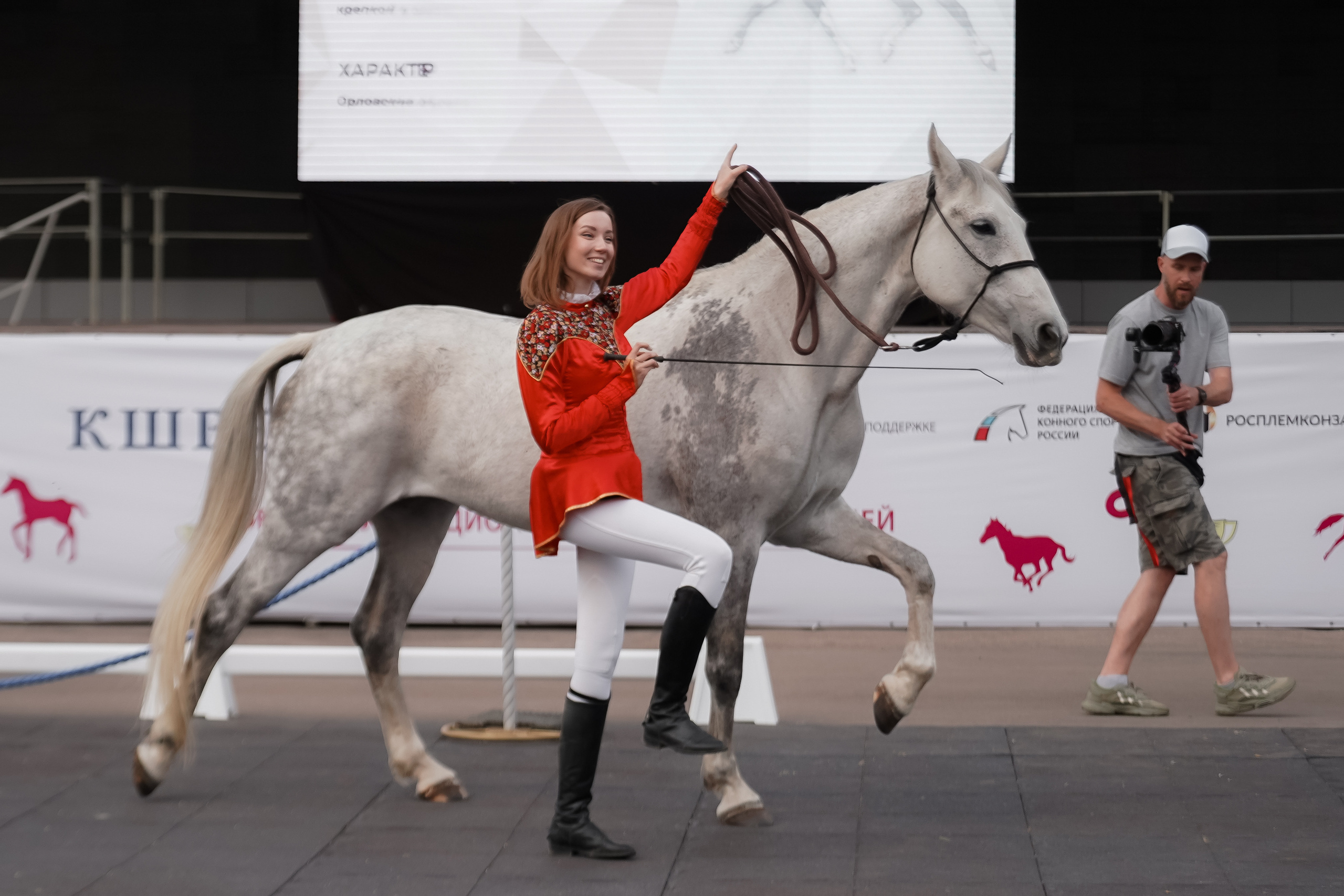 Фестиваль национальных пород лошадей в Парке Сокольники. Фотограф-анималист, портретный фотограф в Чебоксарах Мария Садыкова