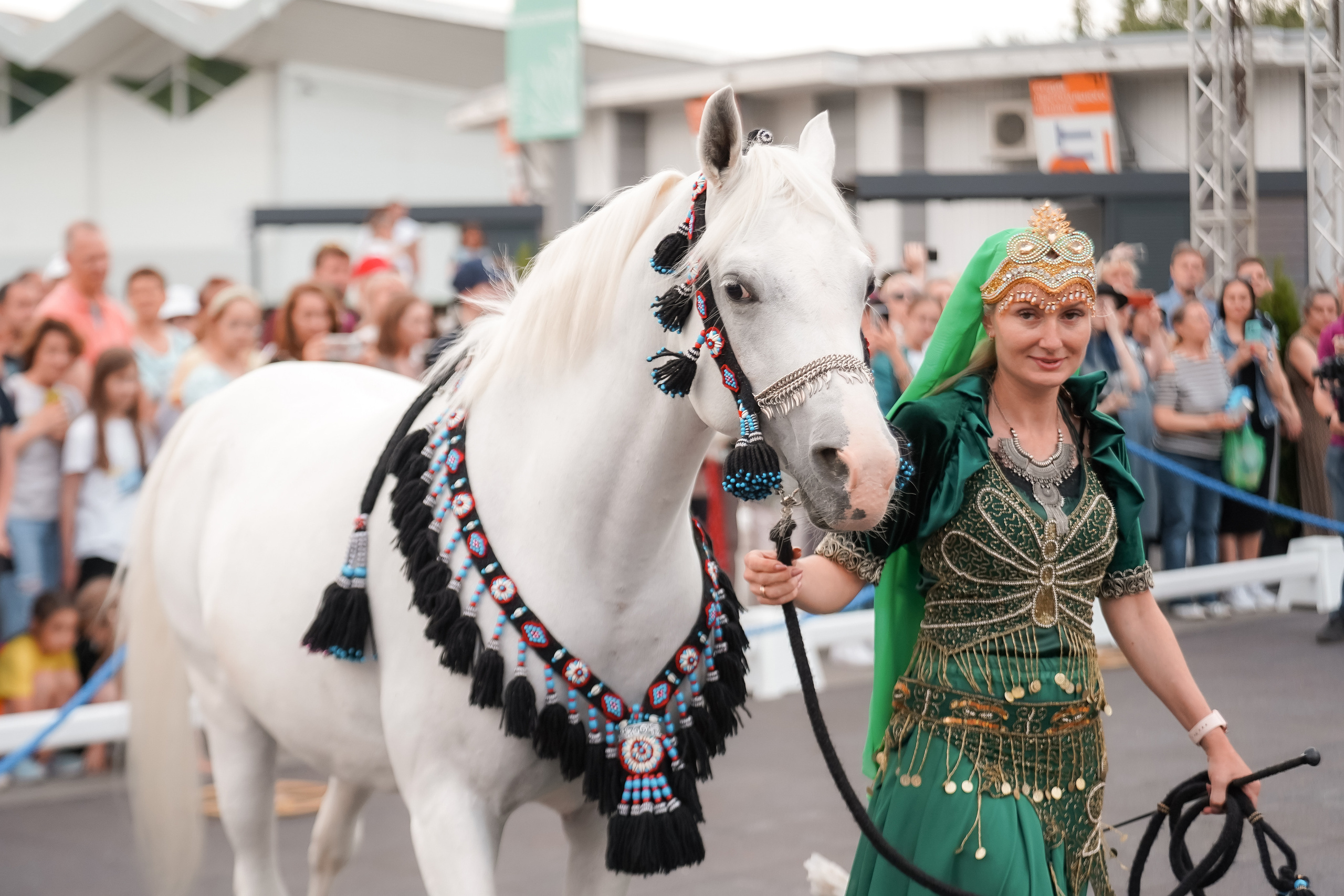 Фестиваль национальных пород лошадей в Парке Сокольники. Фотограф-анималист, портретный фотограф в Чебоксарах Мария Садыкова